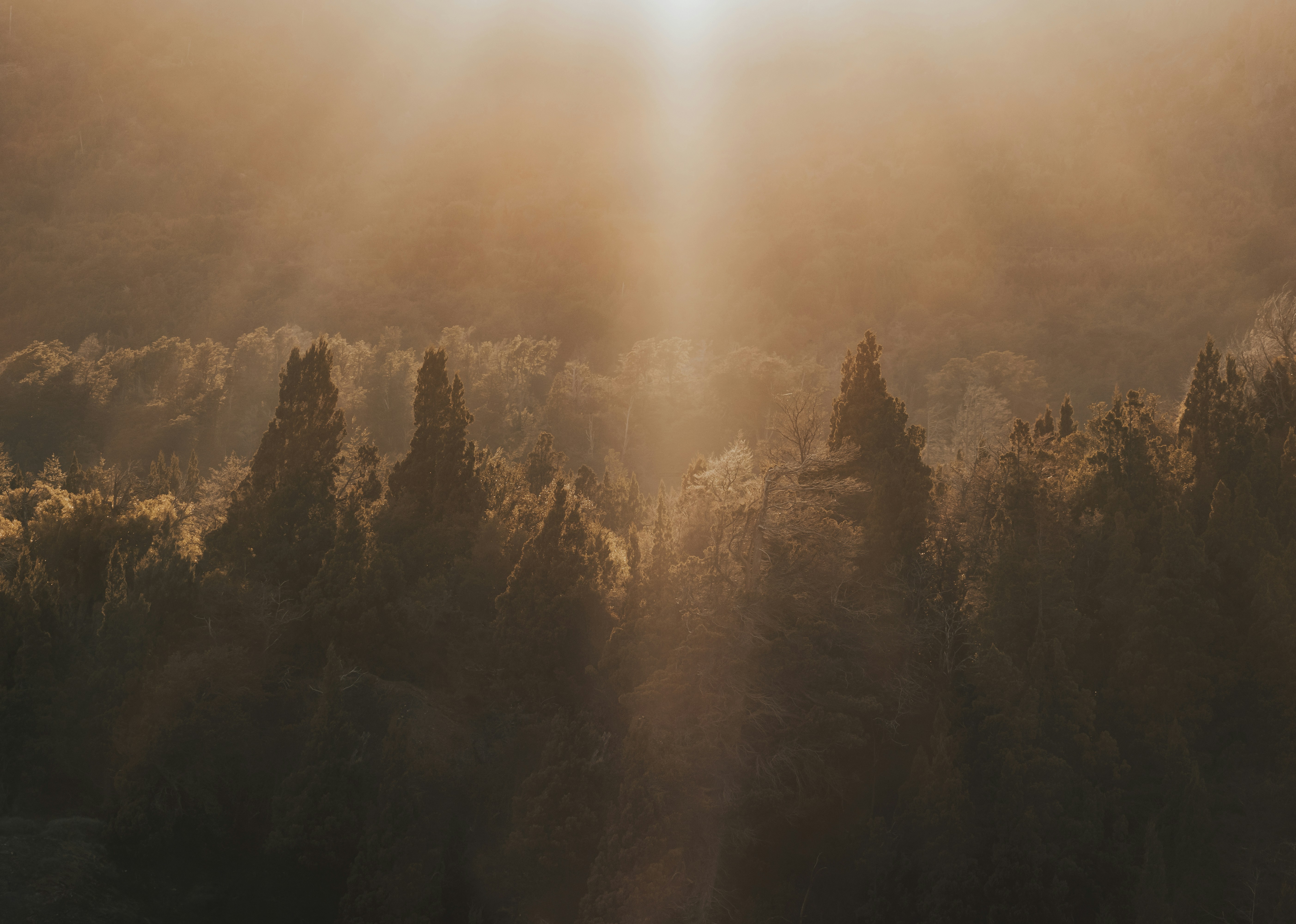 Photo by gasparzaldo