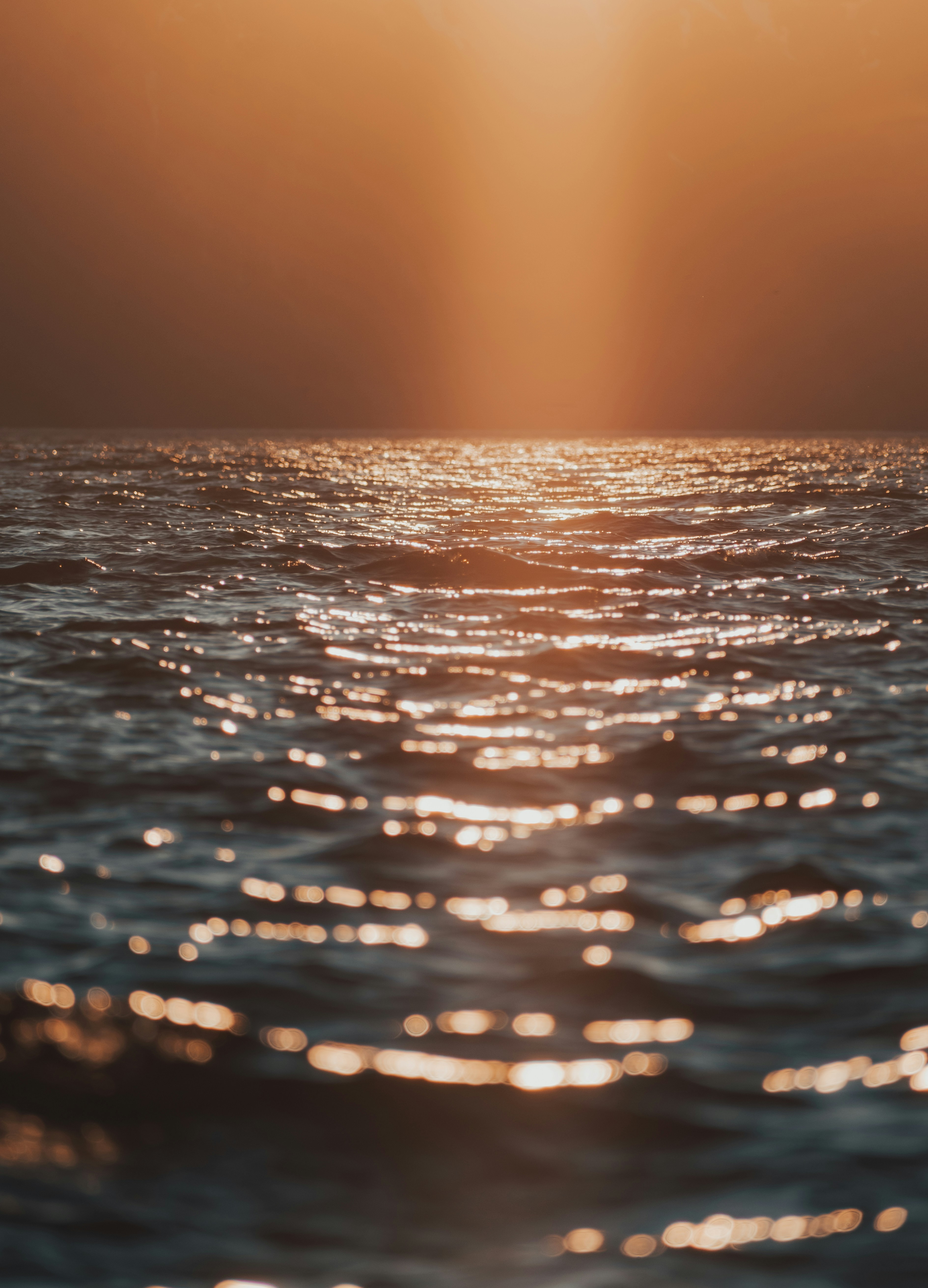 Photo by gasparzaldo