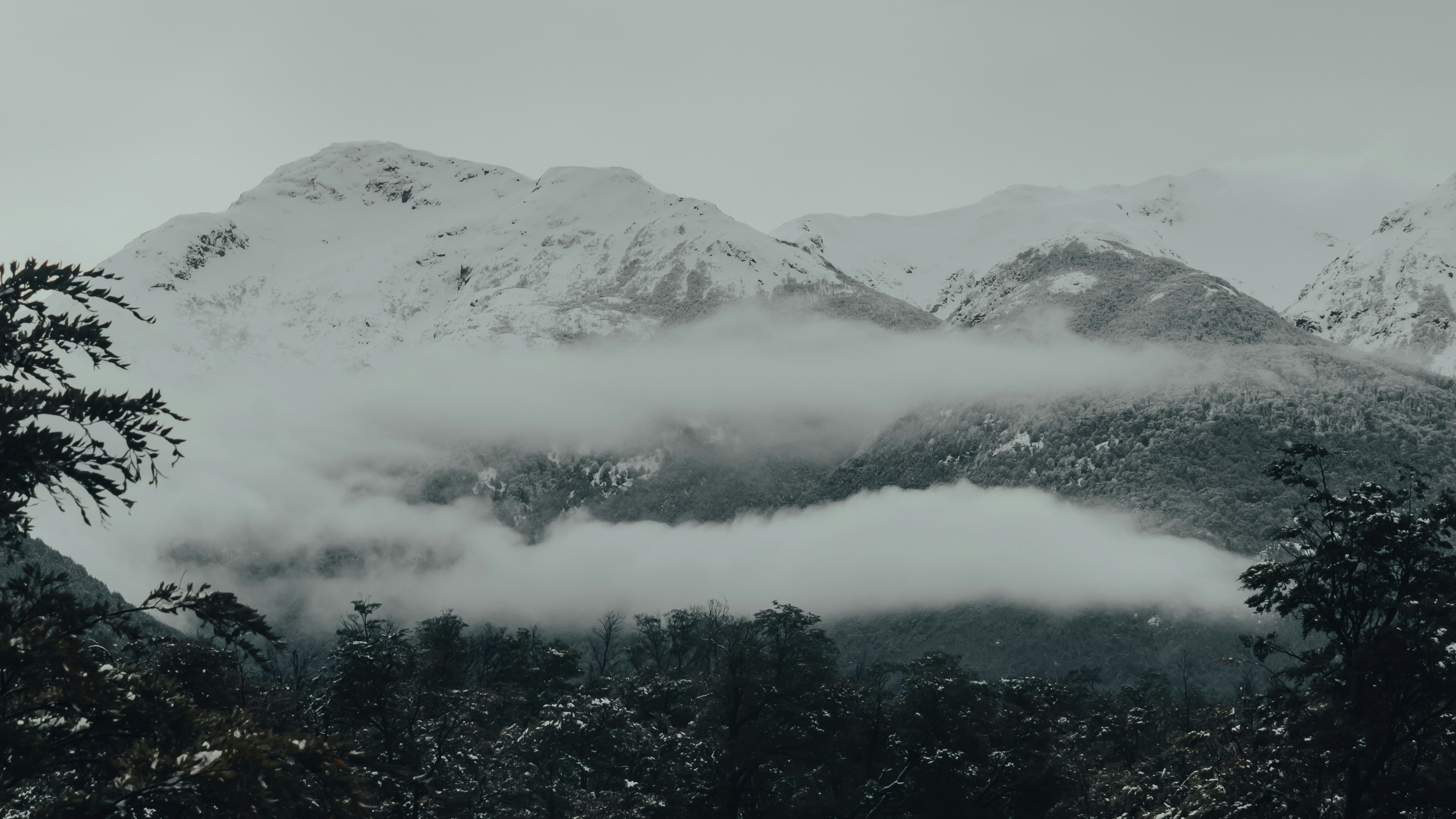 Photo by gasparzaldo