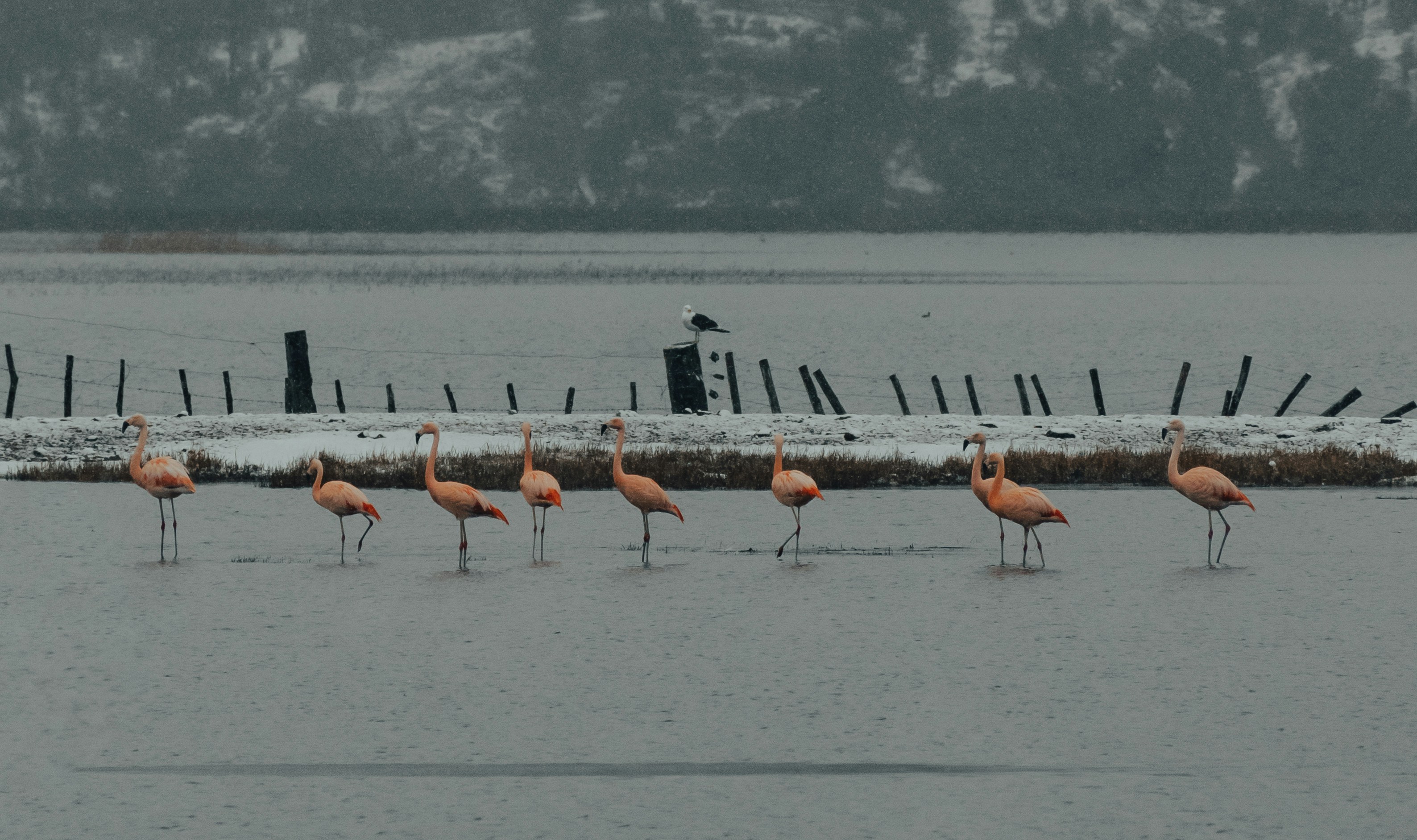 Creating a Framework for Internal Alignment in Restaurant Operations