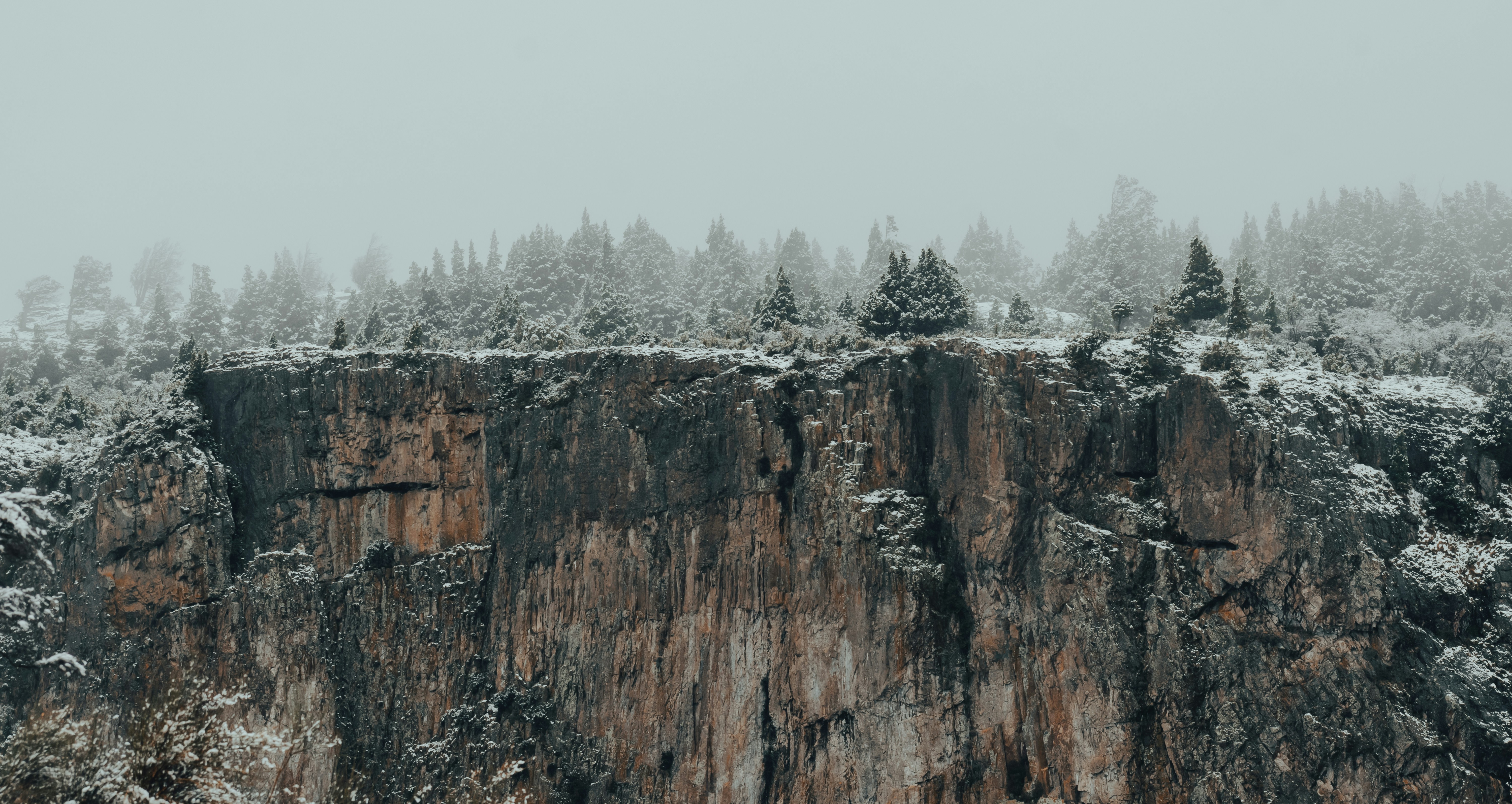 Photo by gasparzaldo