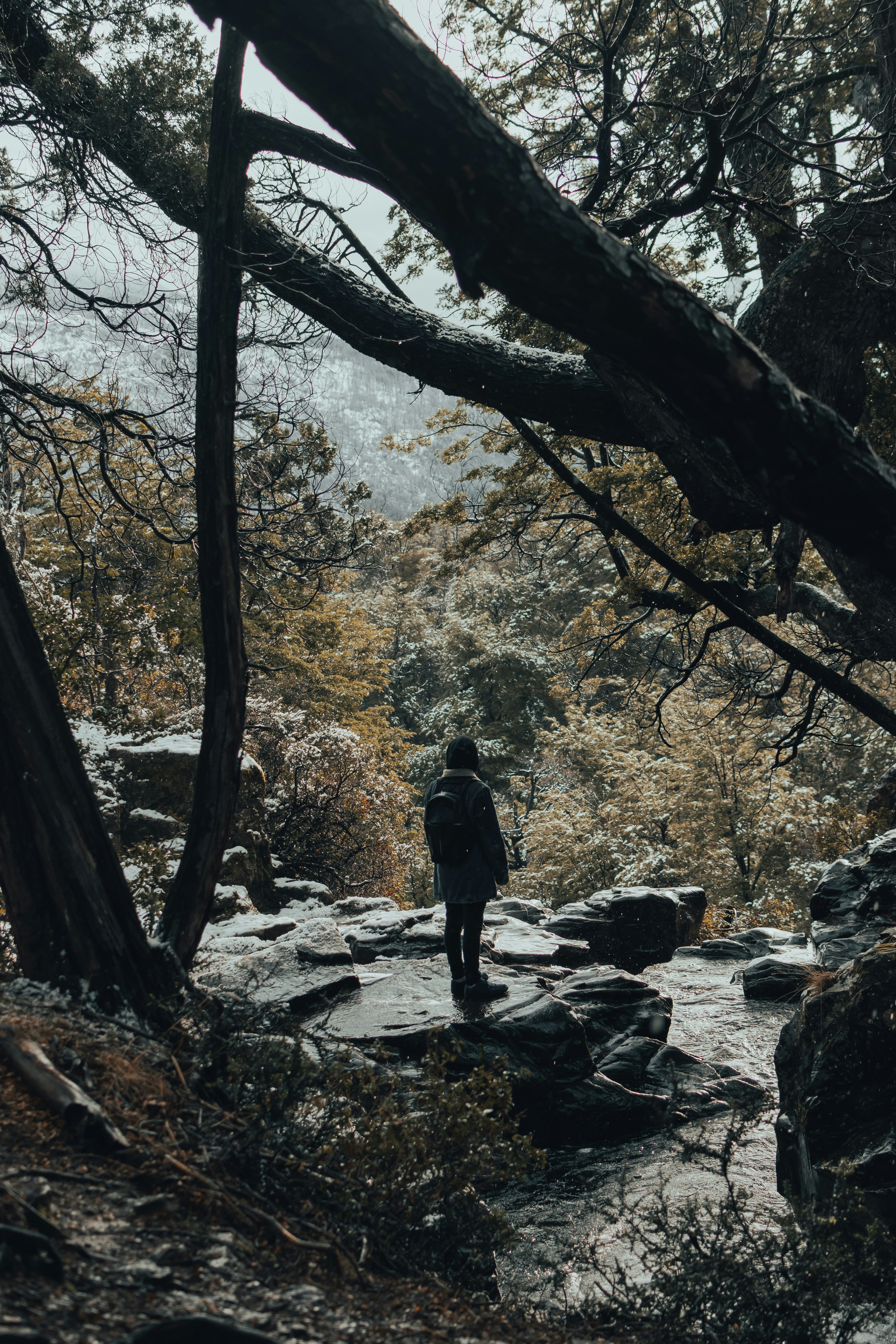 Photo by gasparzaldo