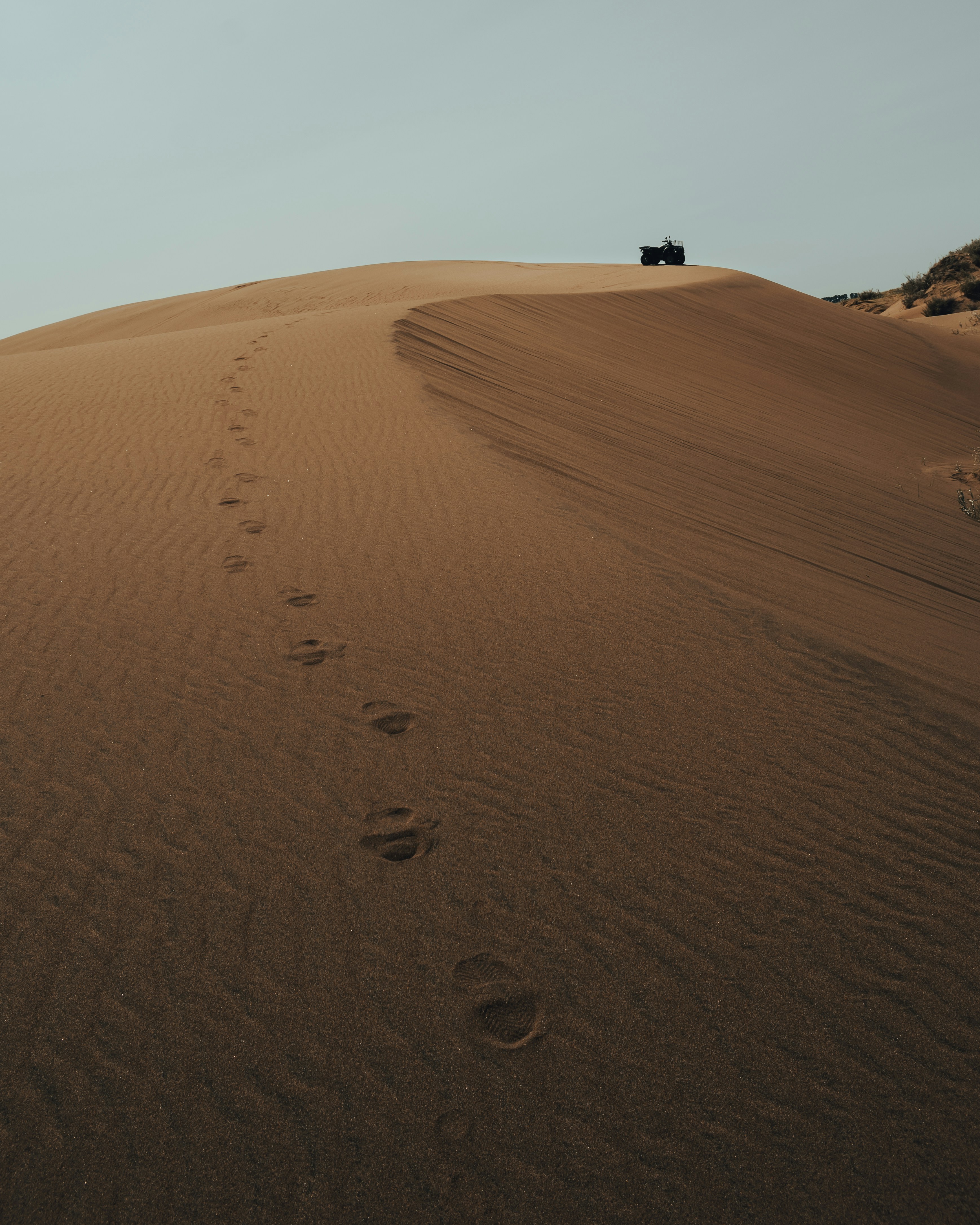 Photo by gasparzaldo