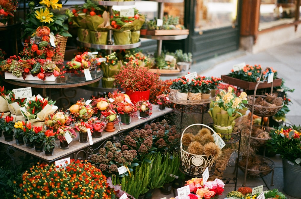 a bunch of flowers that are on a table