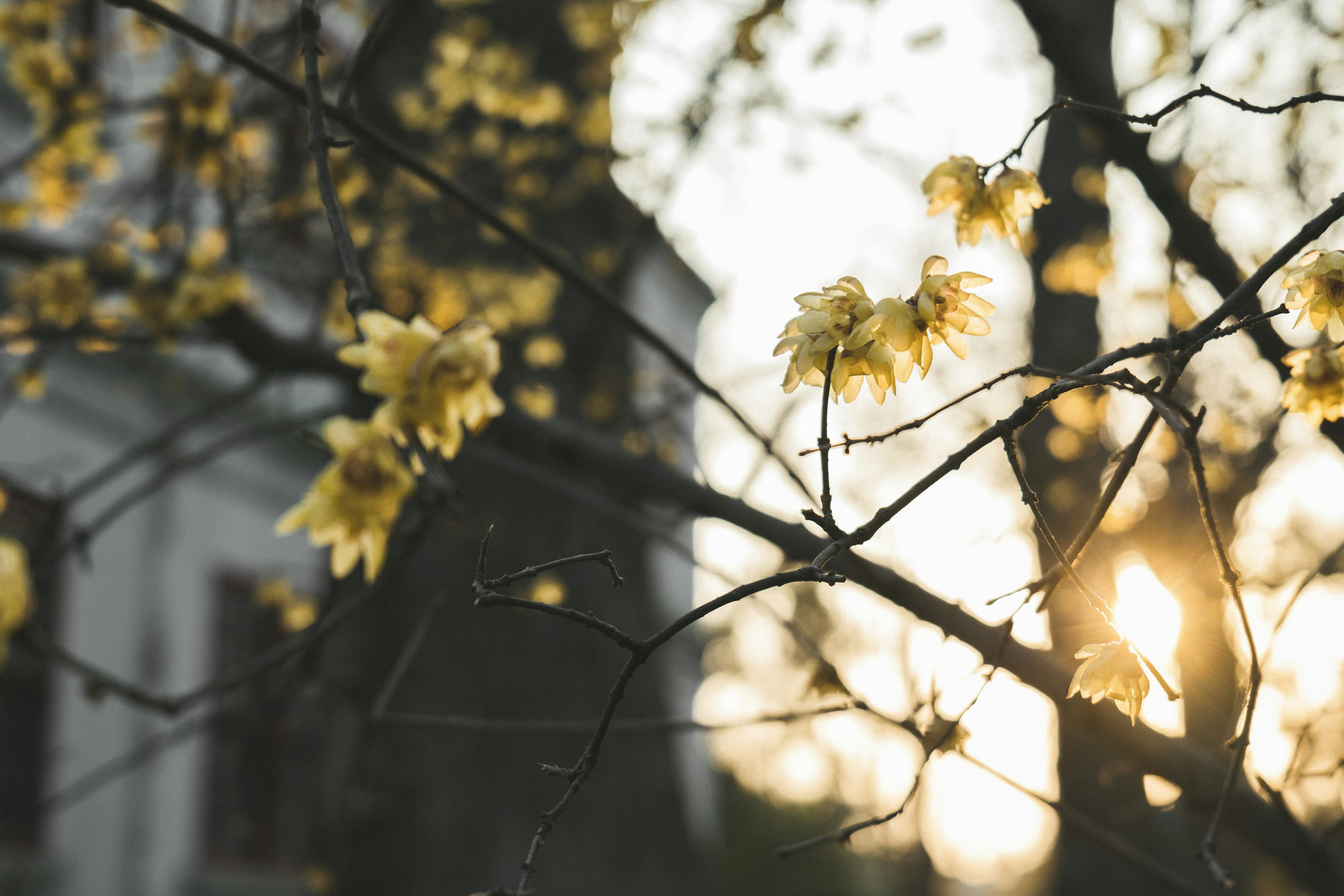 Photo by minecraftinventor