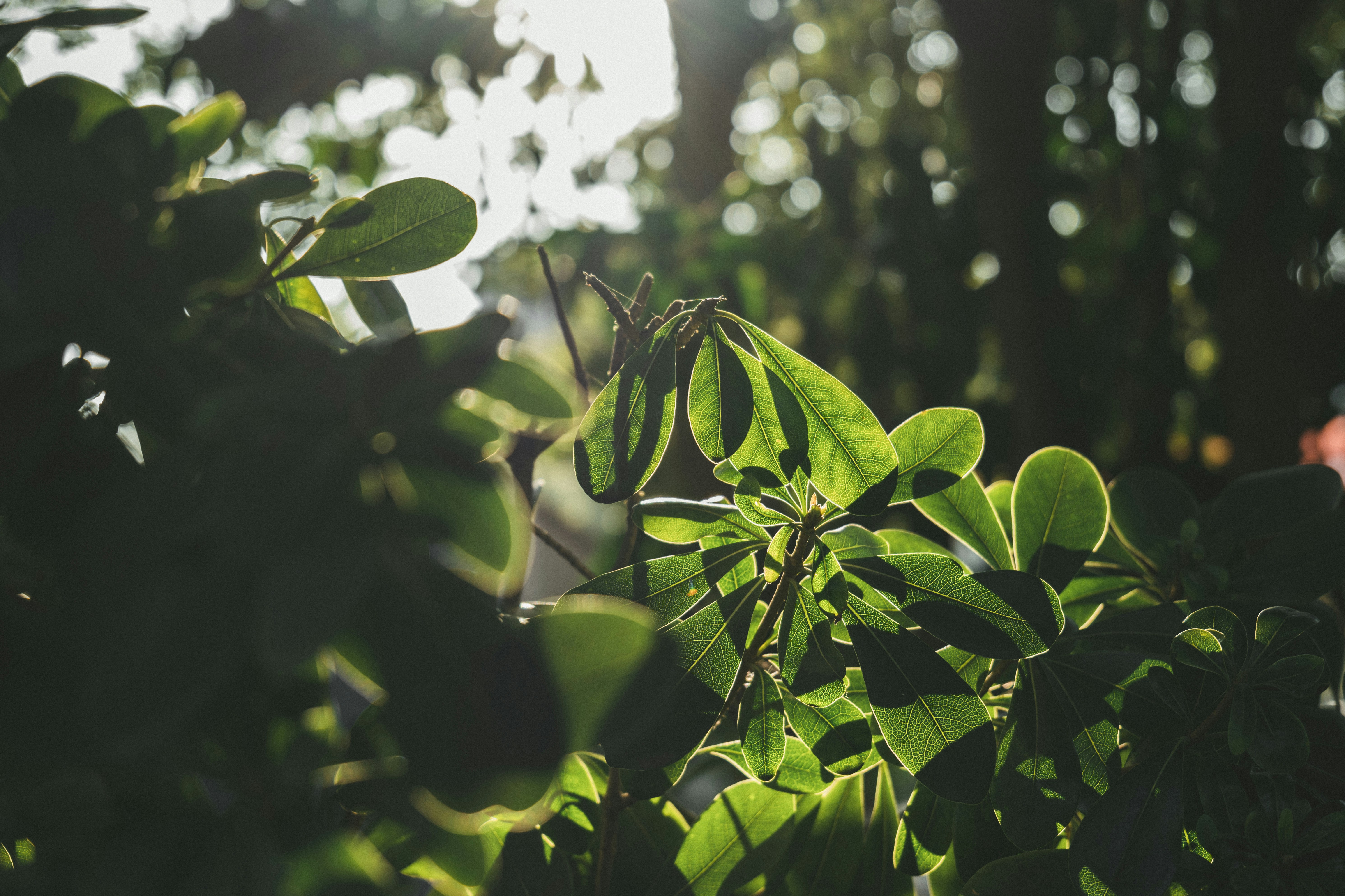 Photo by minecraftinventor