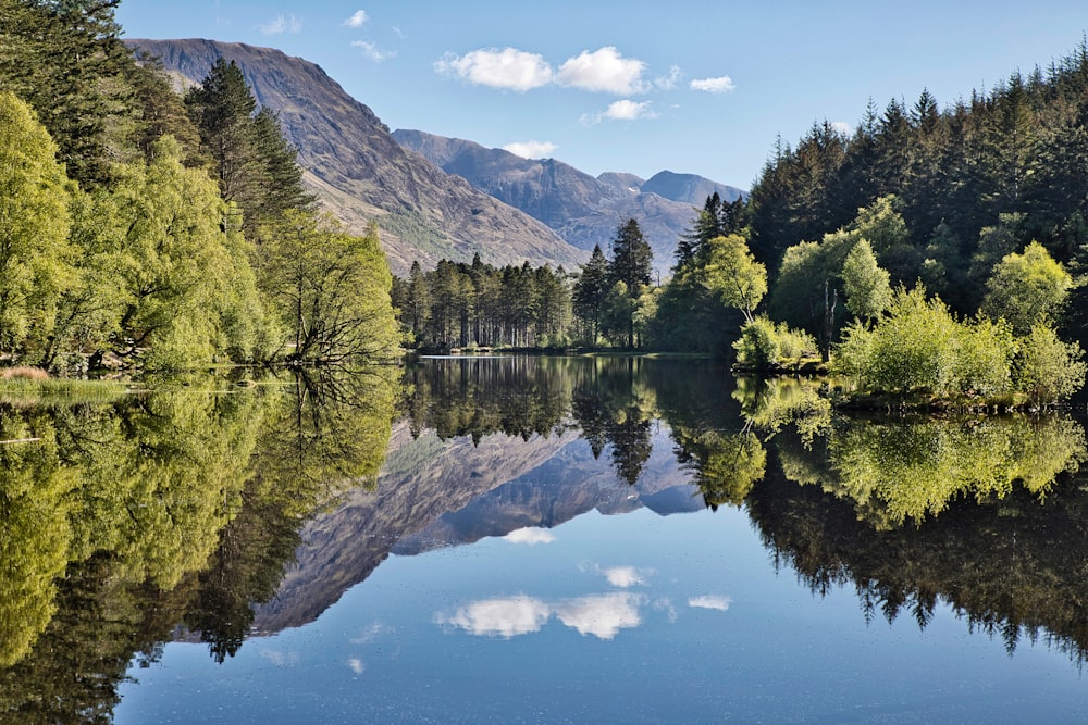 a large body of water surrounded by trees