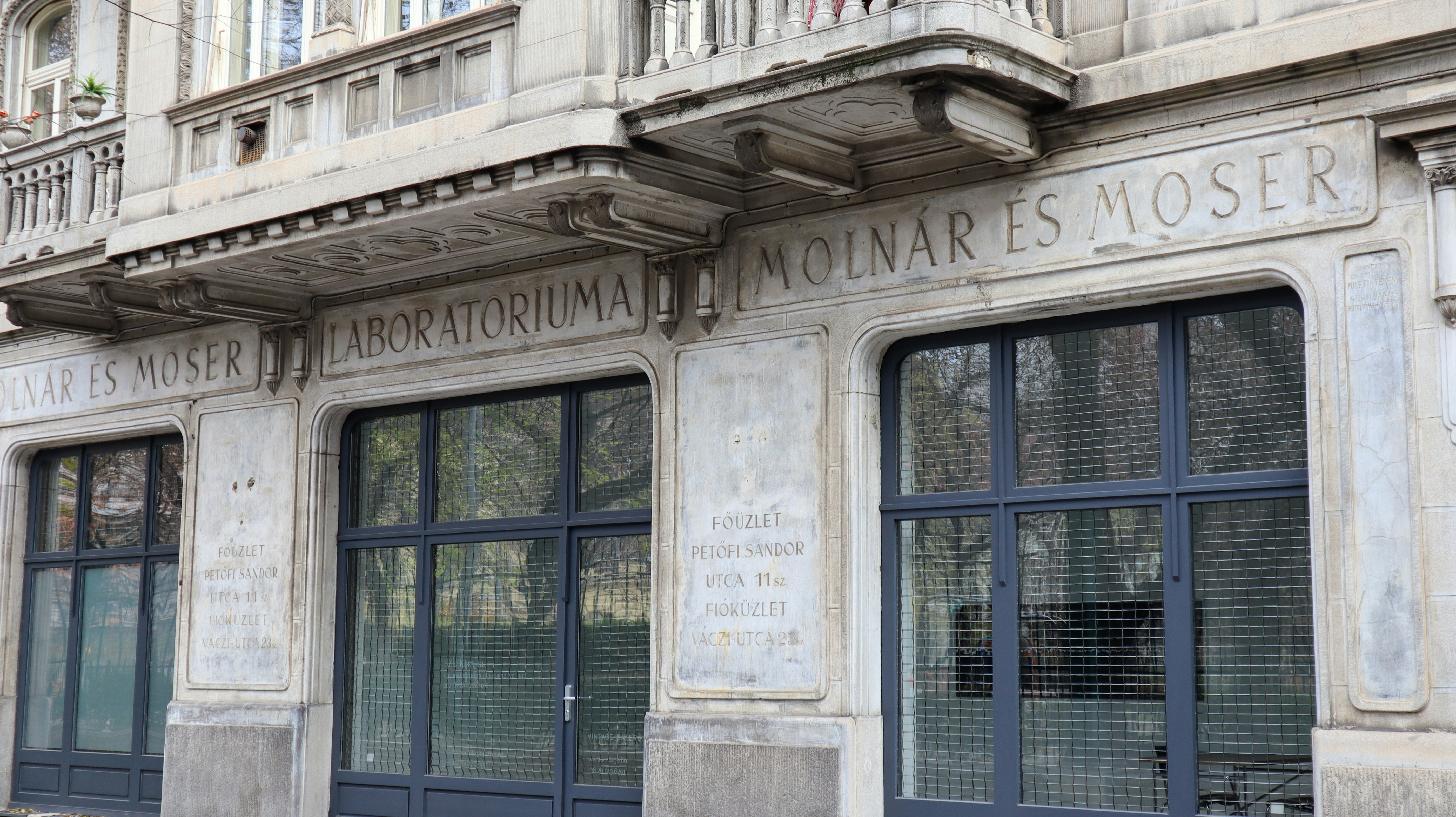 Photo by violatakesphotos