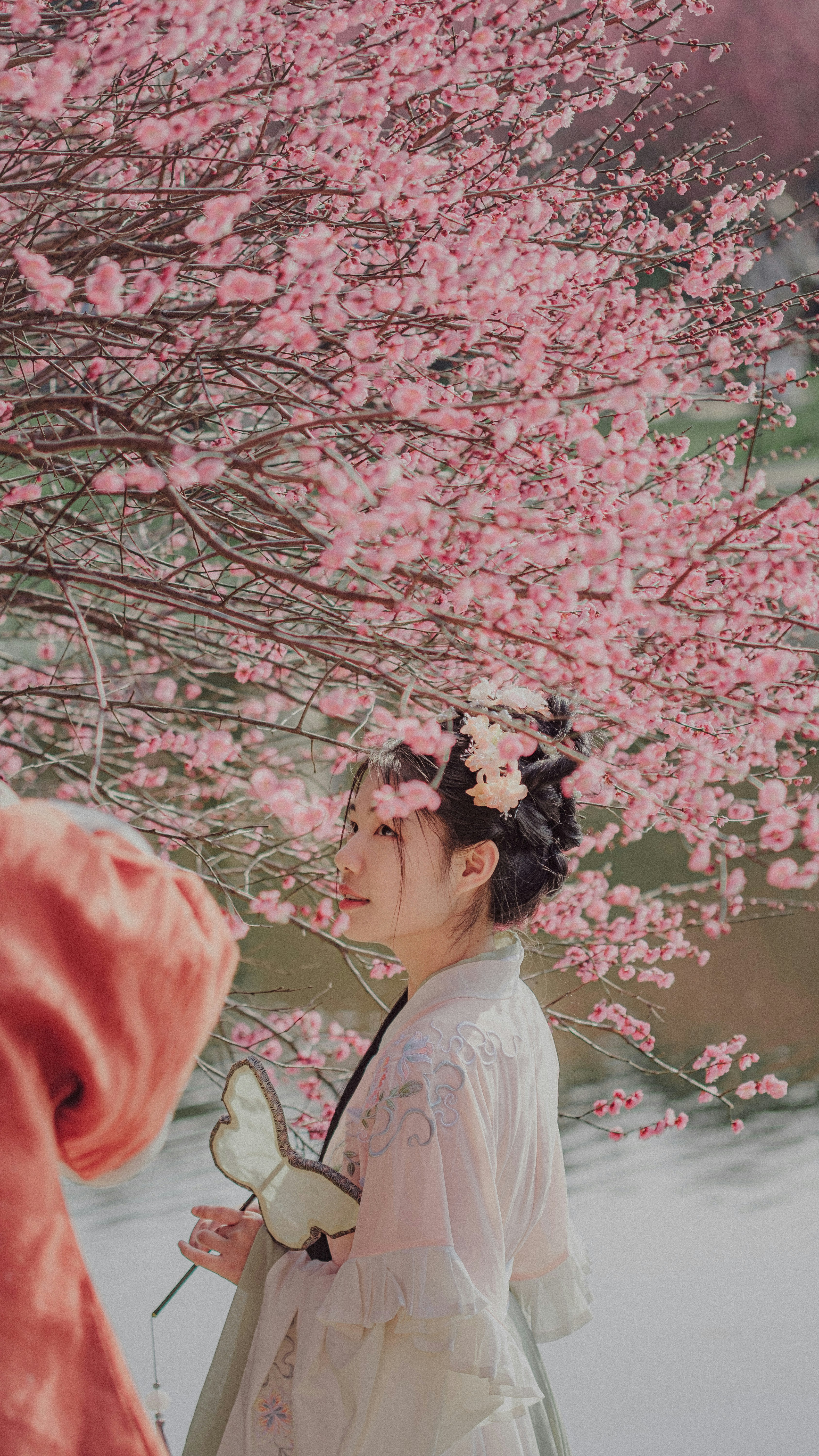 Photo by xiexianghua