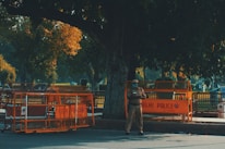A police officer stands next to orange barricades labeled with 'Delhi Police', positioned under a large tree. The scene is set in an outdoor urban area with lush green foliage and dappled sunlight.