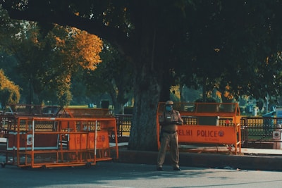 A police officer stands next to orange barricades labeled with 'Delhi Police', positioned under a large tree. The scene is set in an outdoor urban area with lush green foliage and dappled sunlight.