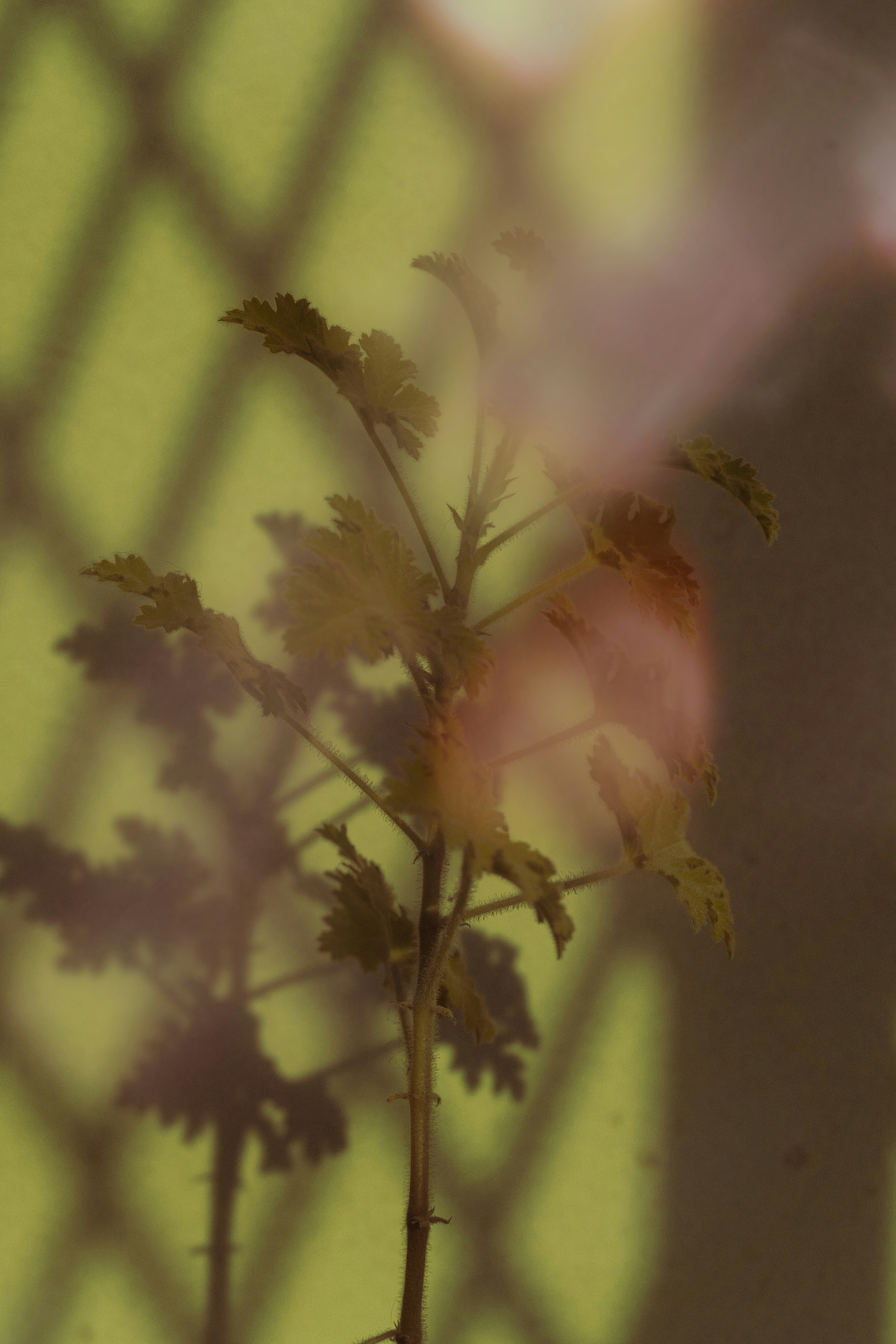 Photo by ashok_bravo