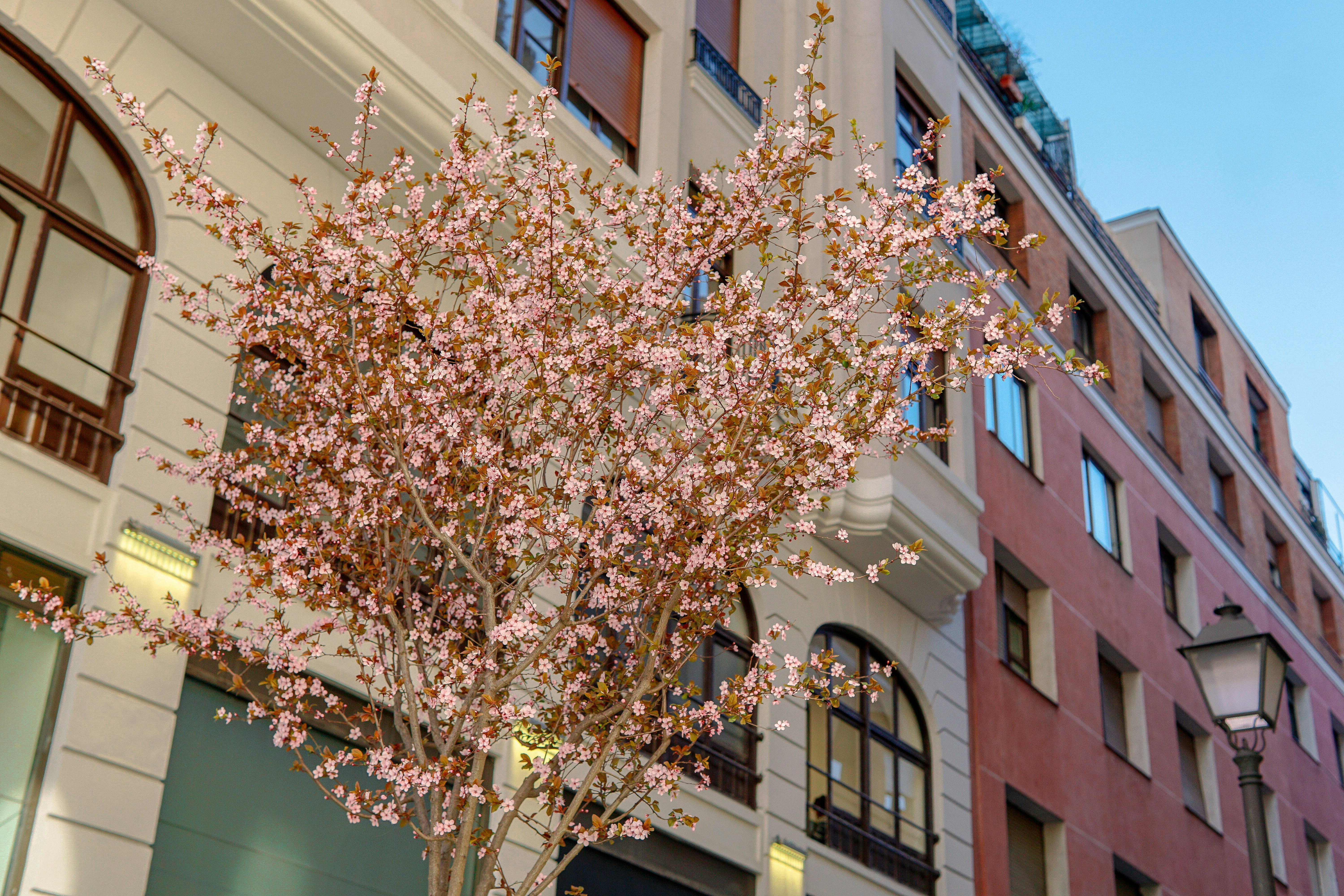 Photo by pixelpixel24