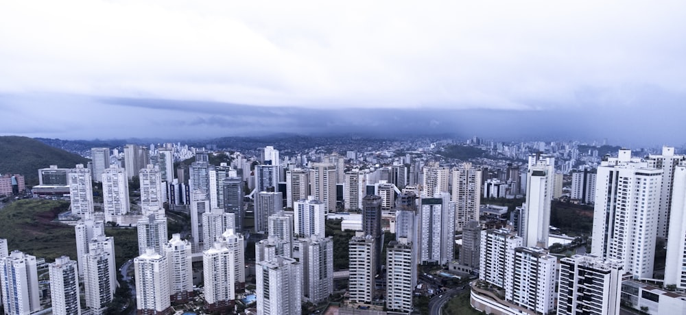 a view of a large city with tall buildings