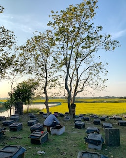 A beautifully crafted box blind set against a serene Georgia landscape.