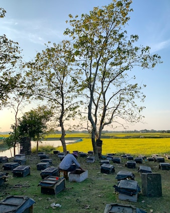 A serene farm landscape featuring beehives and blooming flowers under a clear blue sky.