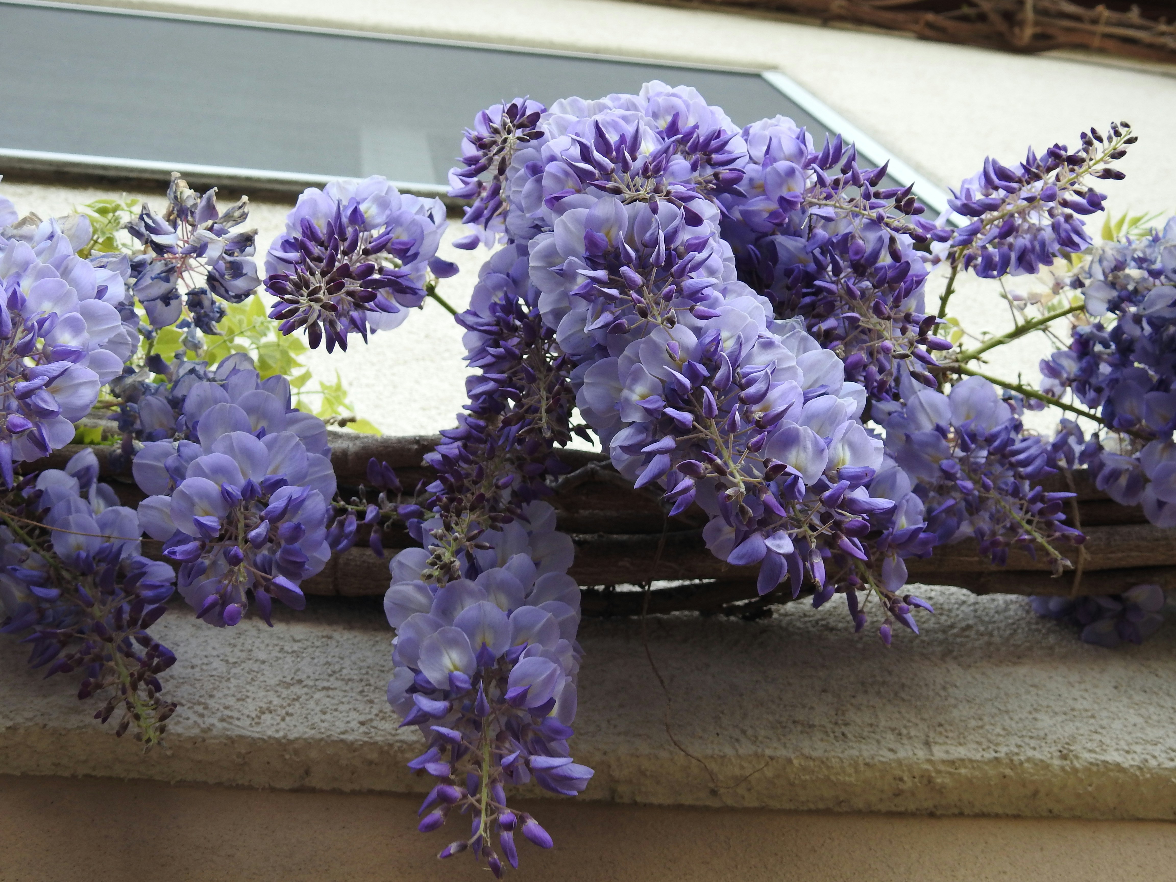 Photo by annelaurejacot