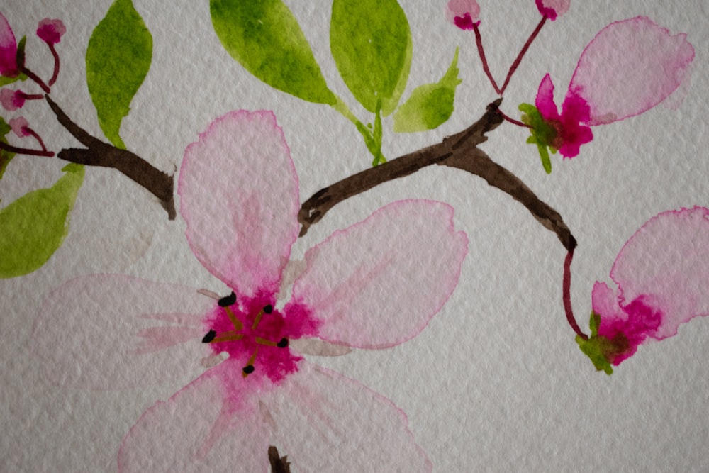 a painting of pink flowers on a white background