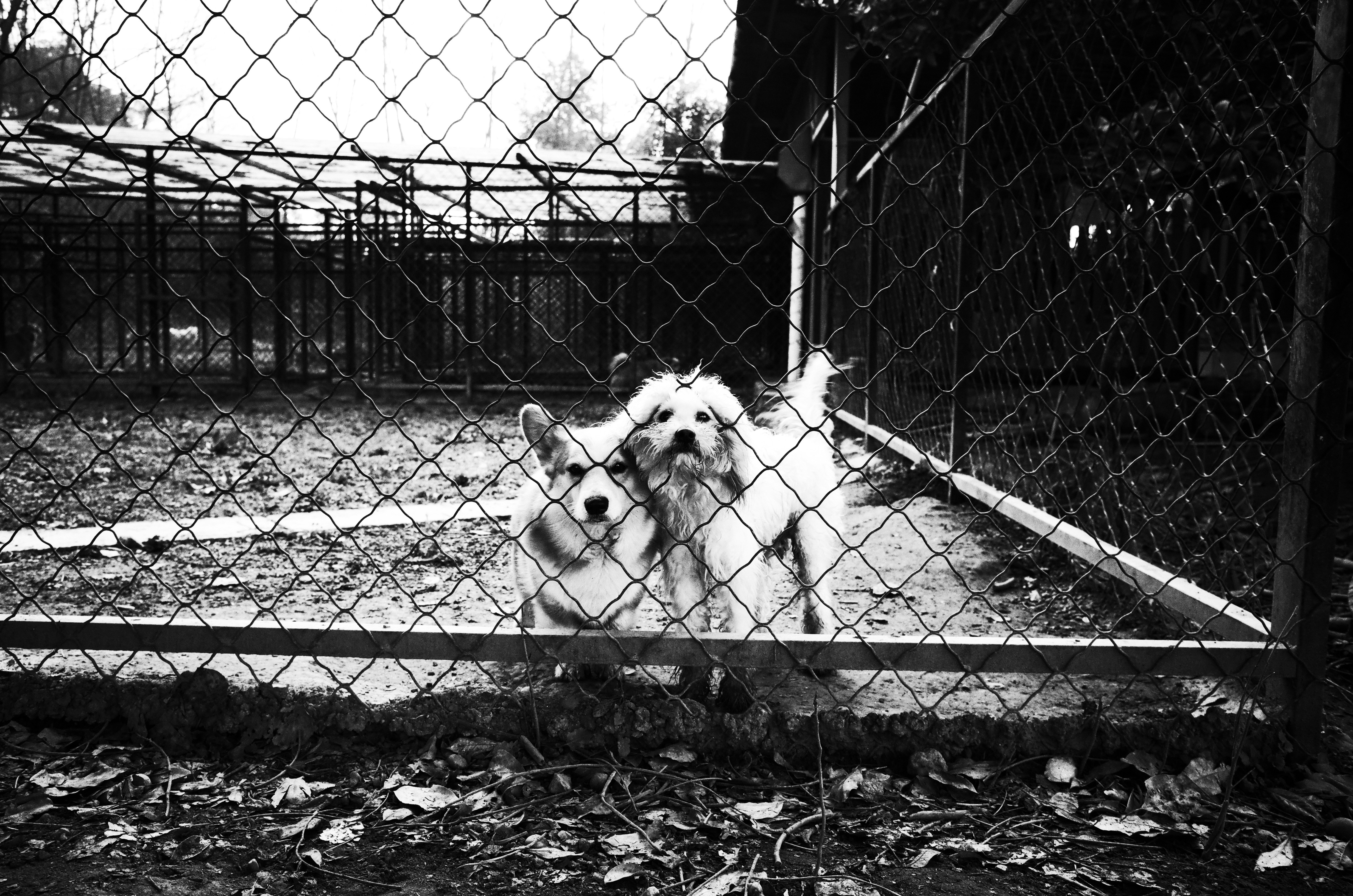 Photo by 7seth