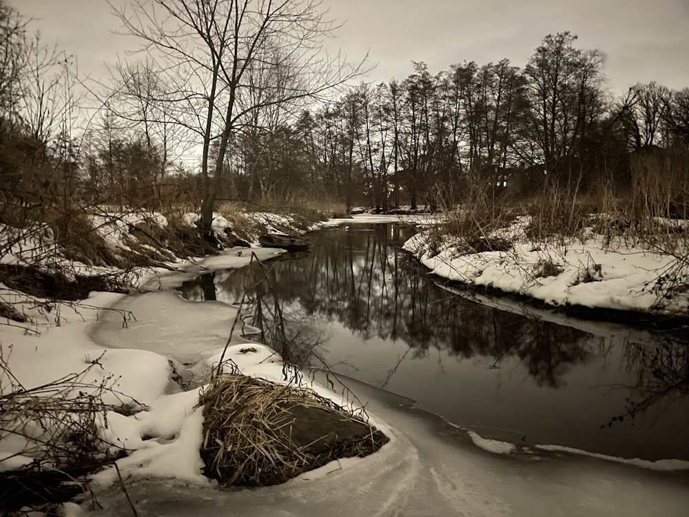 a river running through a snow covered forest