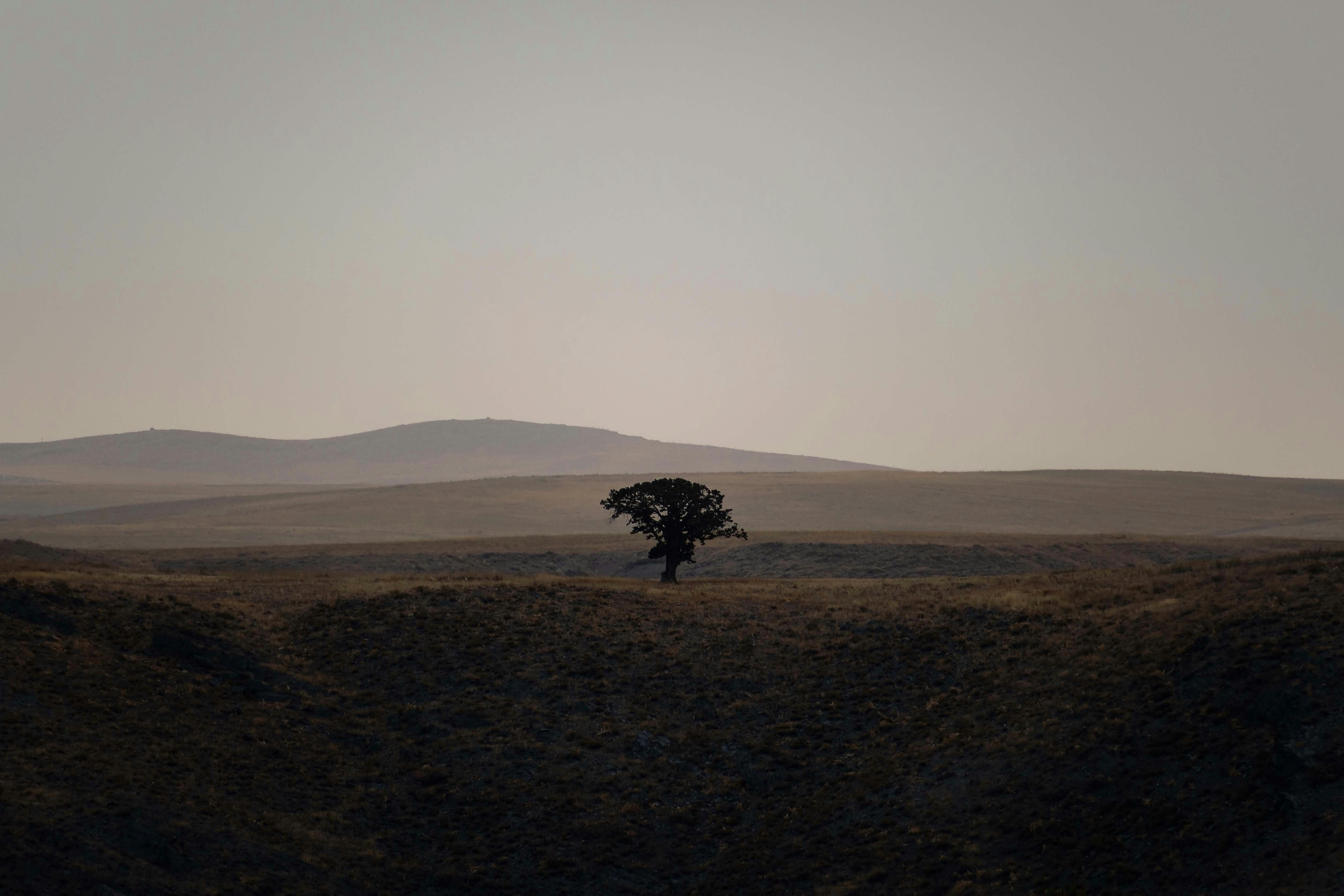 Photo by s_ahmadreza_p