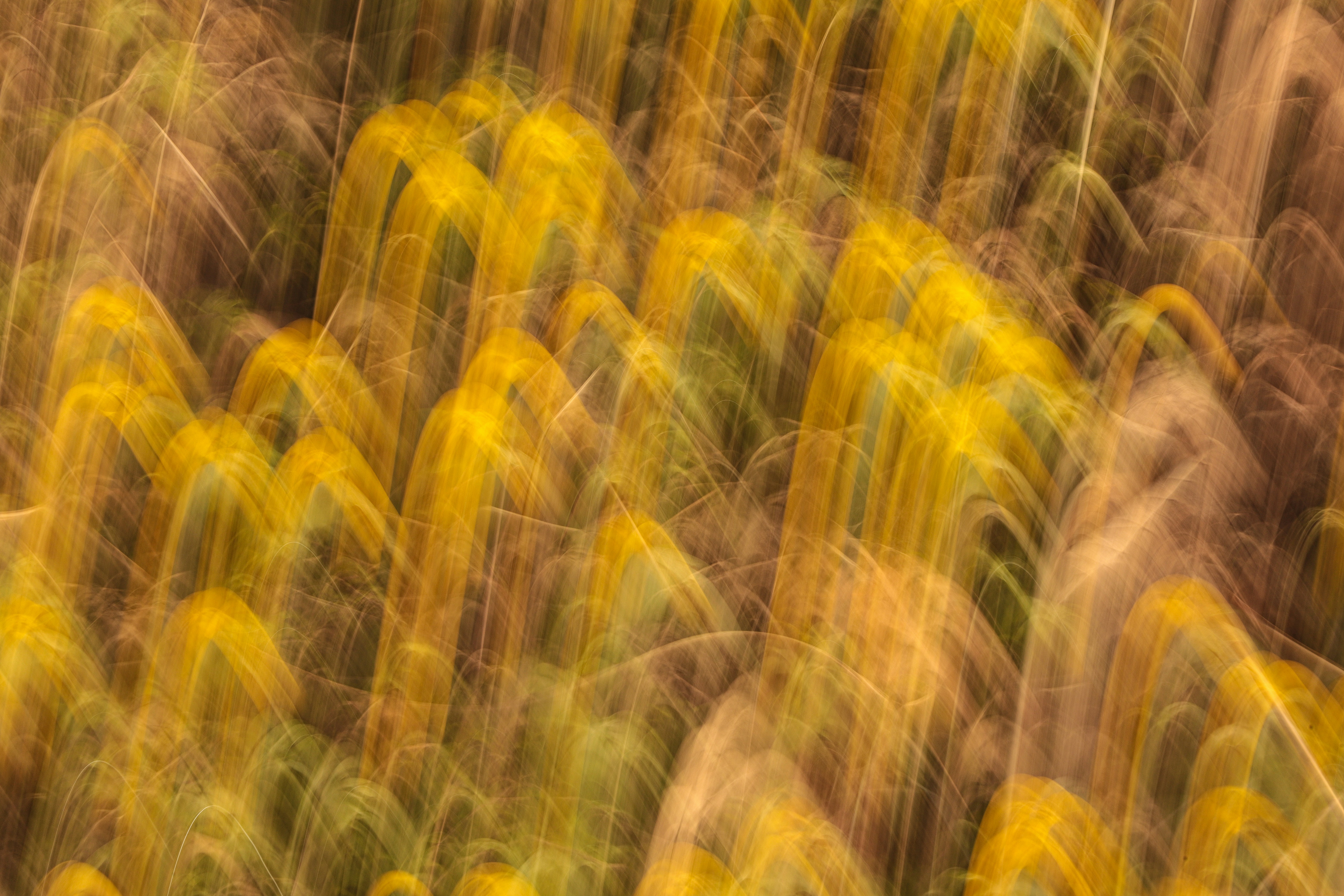 مثلّث قمّة العطاء؟