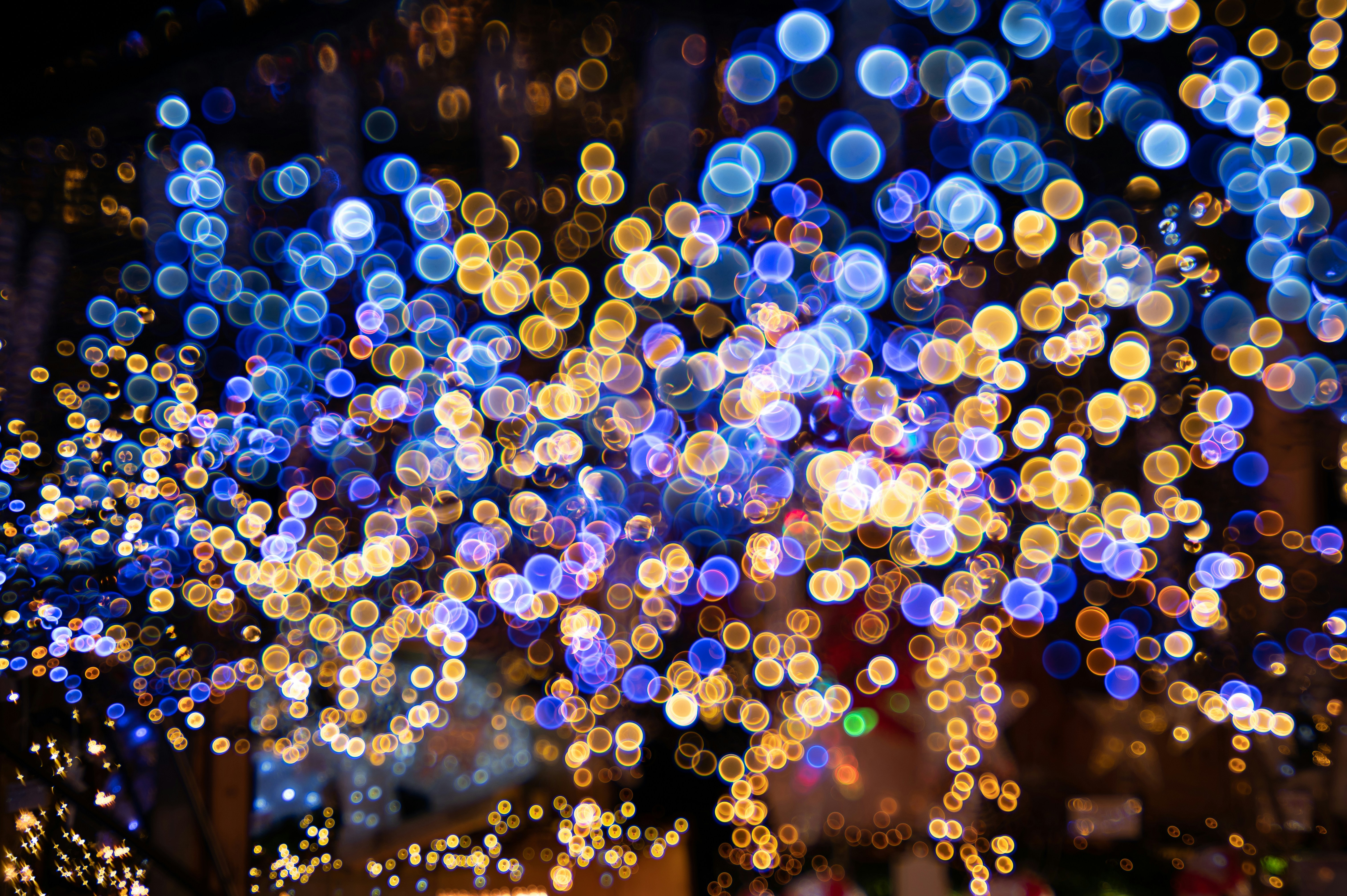 Photo by carrie_borden