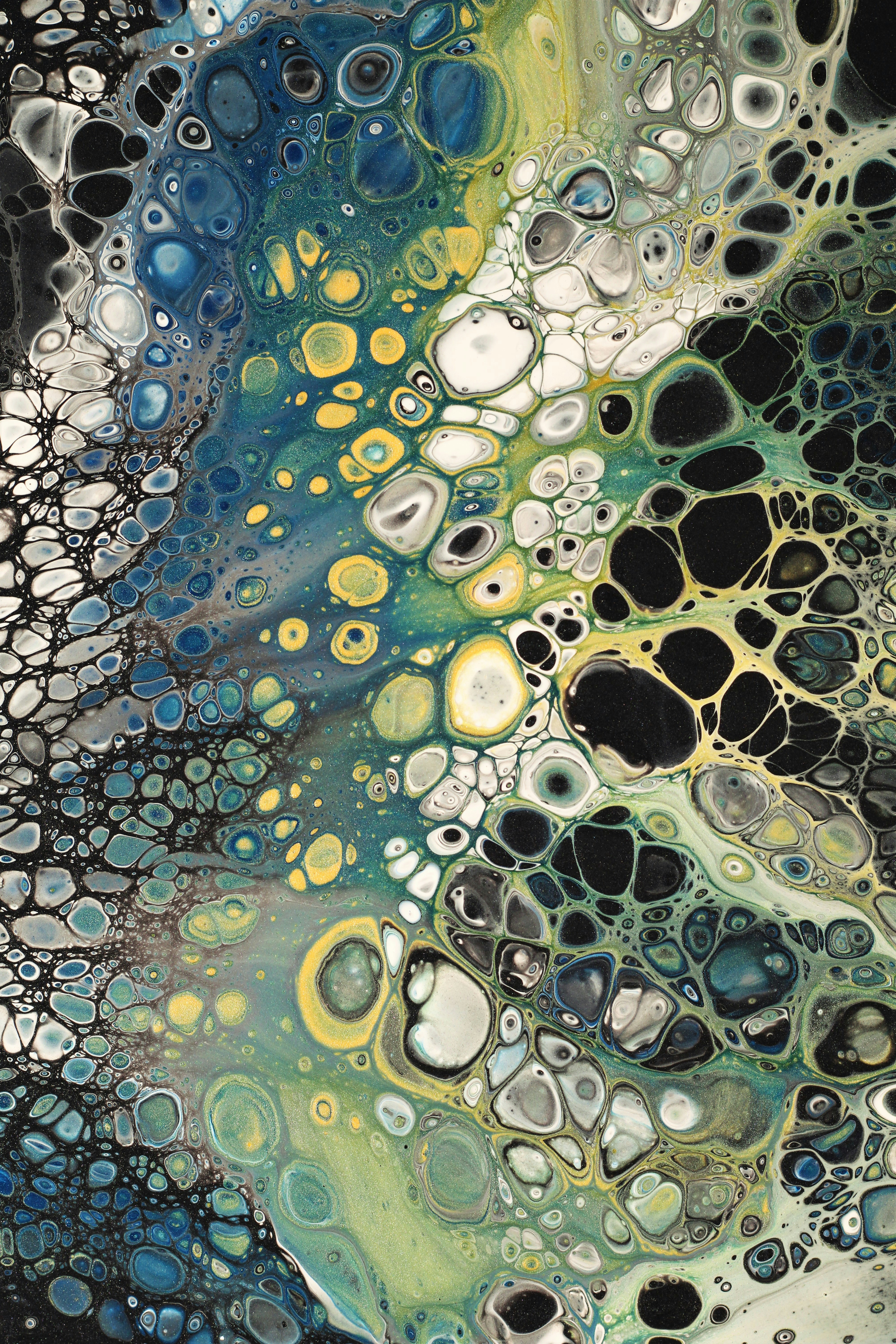 Photo by susan_wilkinson