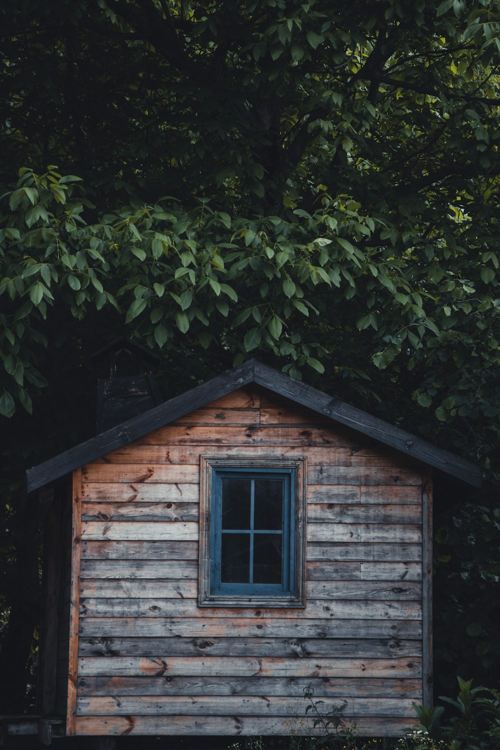 a small wooden cabin with a blue window