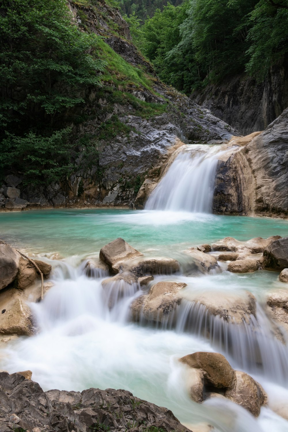 Una corriente de agua que corre a través de un exuberante bosque verde