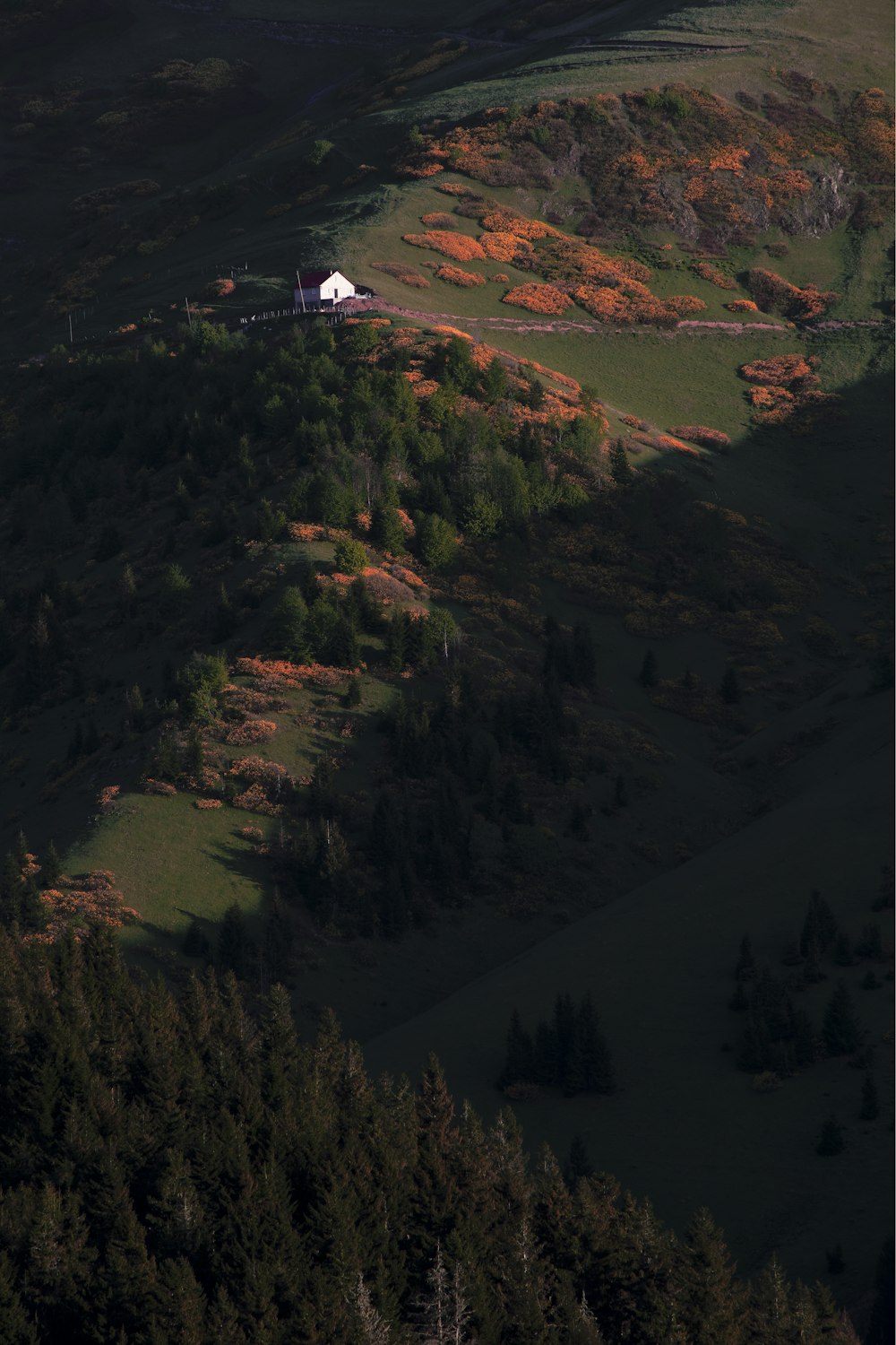 a small white house on a hill surrounded by trees