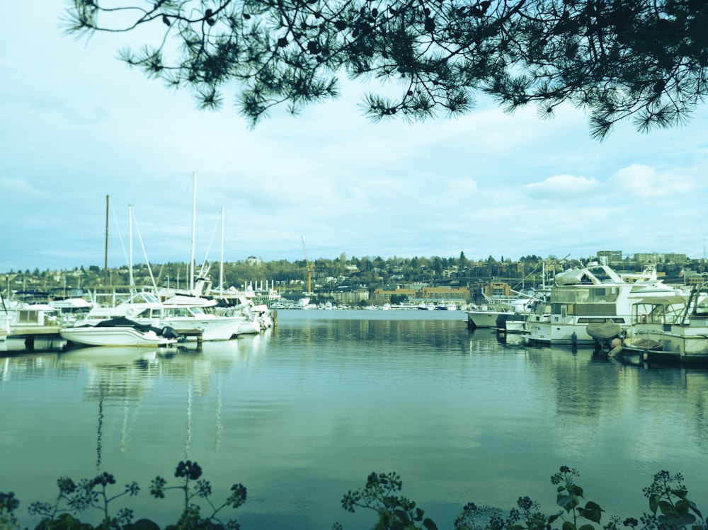 a bunch of boats that are in the water