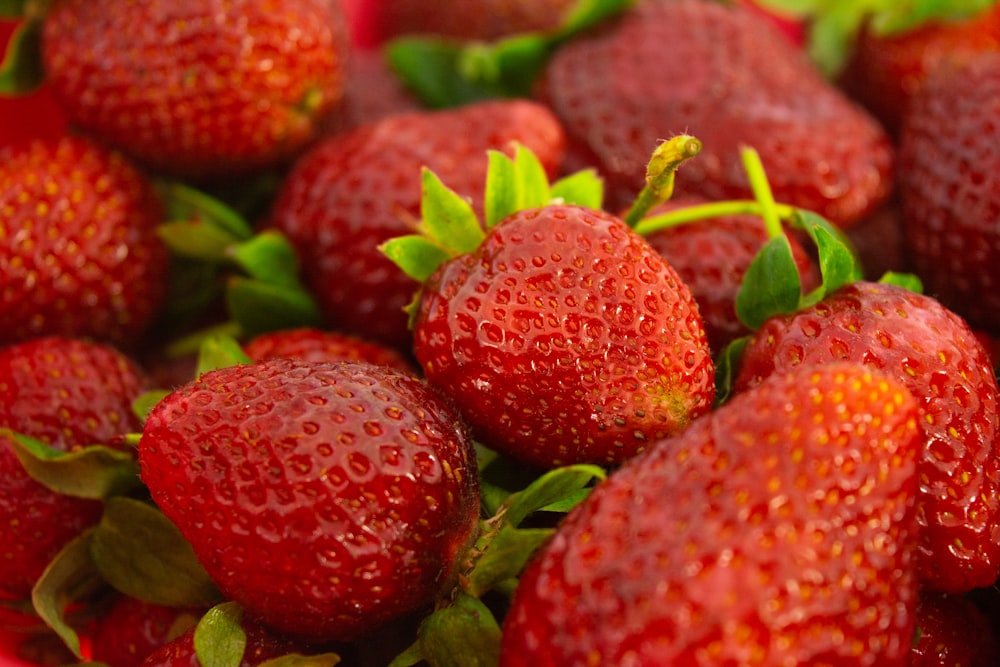 a close up of a bunch of strawberries