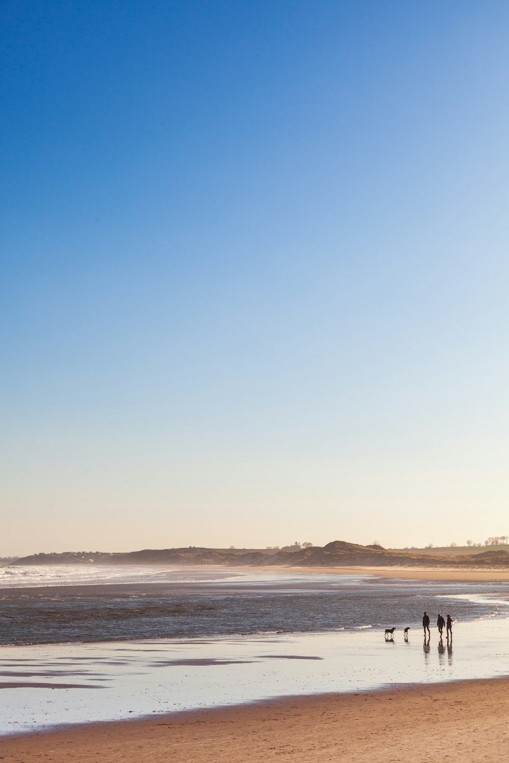 a group of people standing on top of a sandy beach