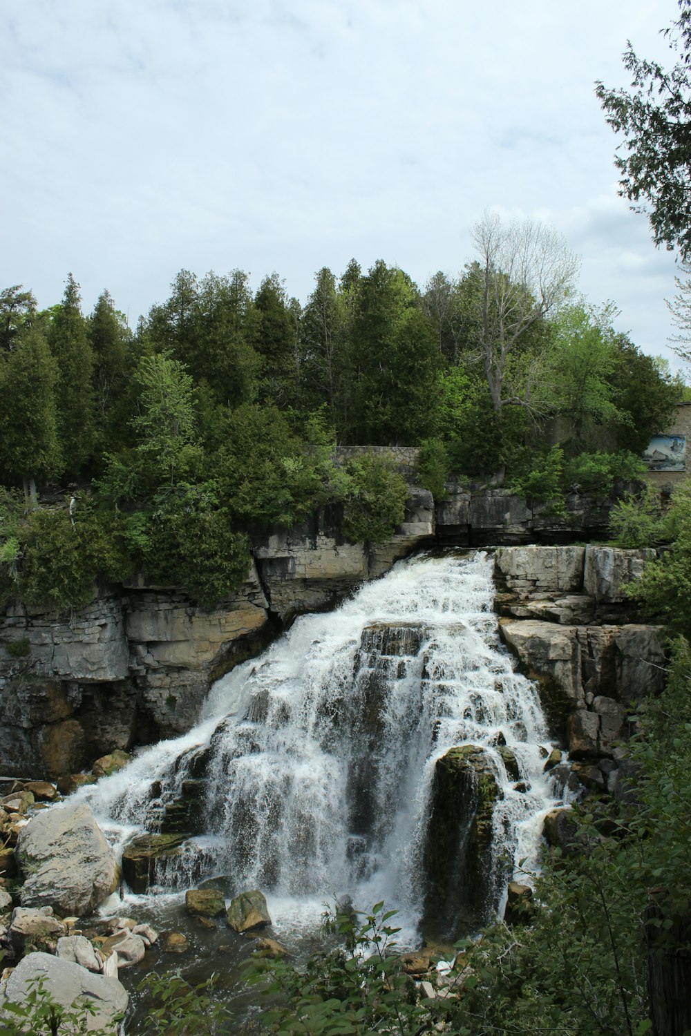 a waterfall in the middle of a forest