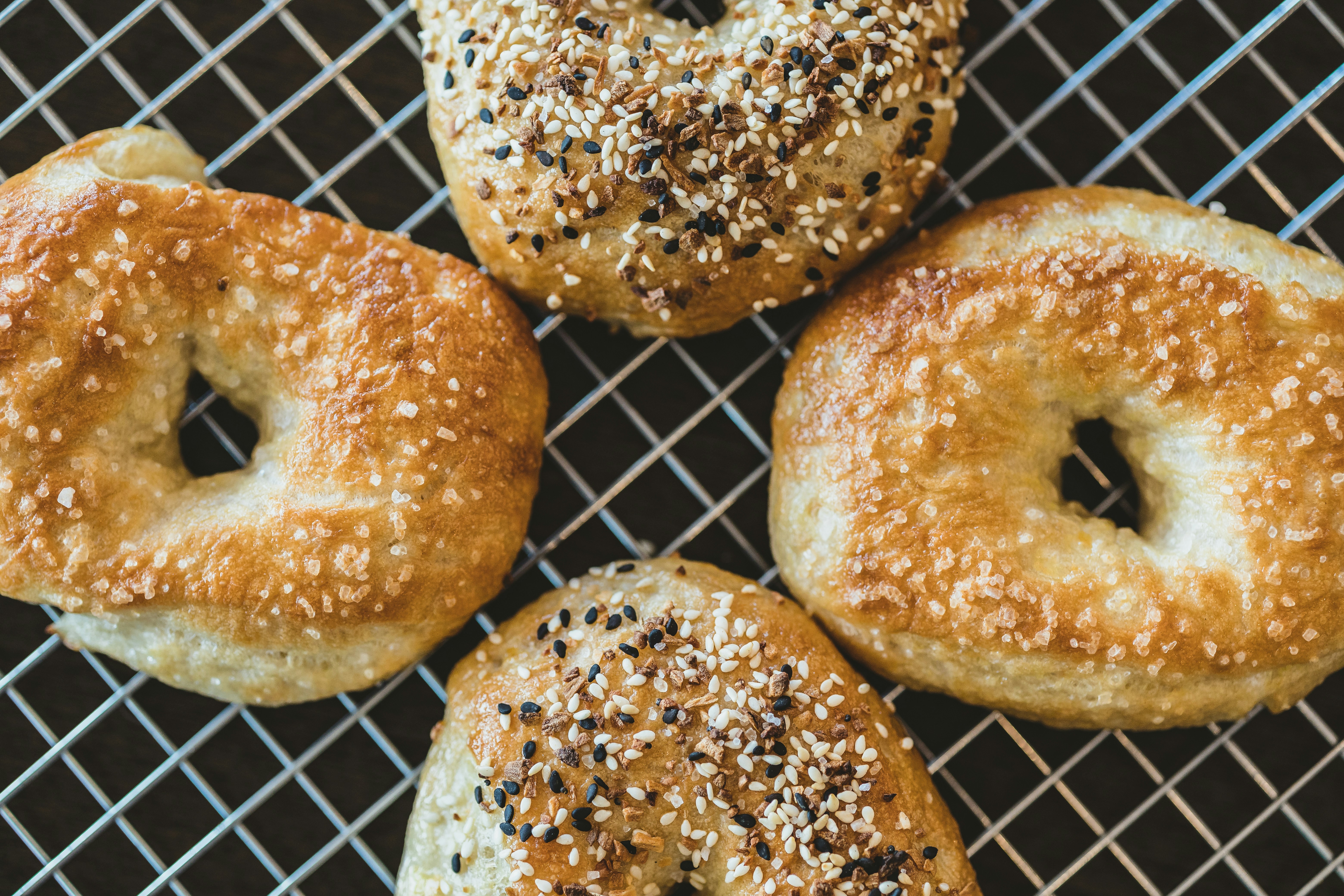 Web design for bagel shops by Cannone Marketing.