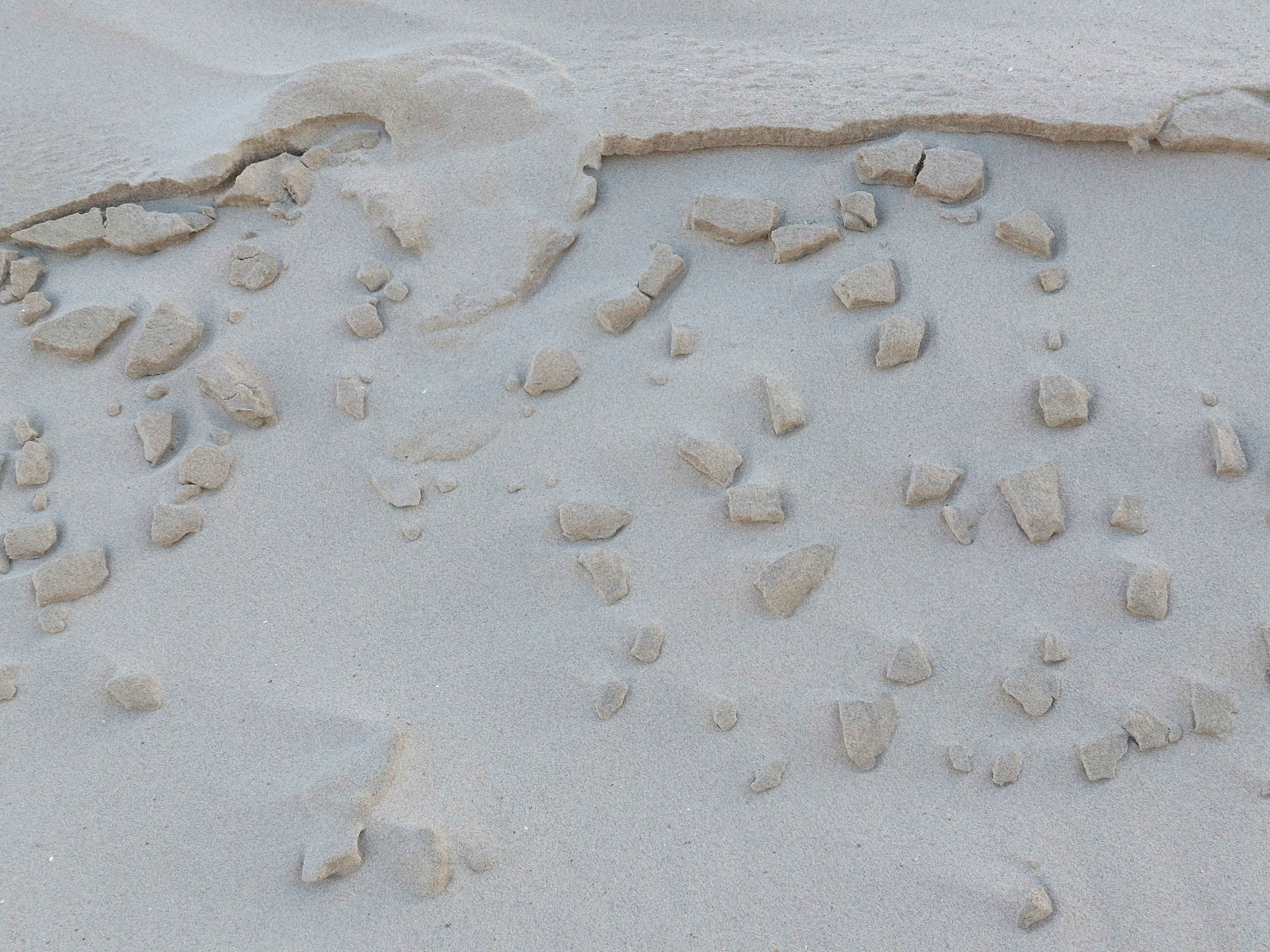 a sandy beach covered in lots of rocks