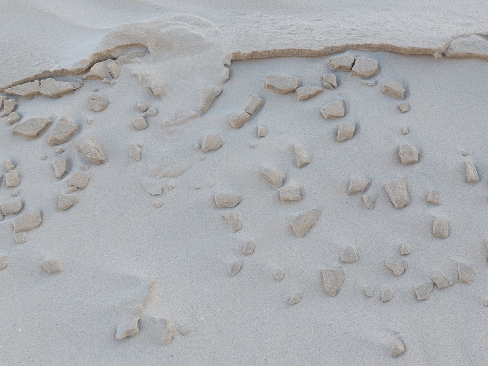 a sandy beach covered in lots of rocks