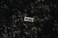 A piece of paper with the words 'NO WAR' printed on it is placed amidst a bed of green foliage. The leaves are densely packed, and the lighting is dim, creating a somber atmosphere.