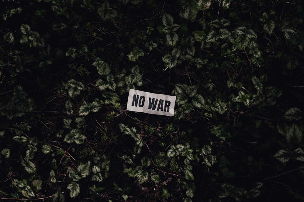 Un letrero de no guerra en un árbol en la oscuridad