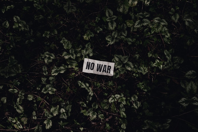 A piece of paper with the words 'NO WAR' printed on it is placed amidst a bed of green foliage. The leaves are densely packed, and the lighting is dim, creating a somber atmosphere.
