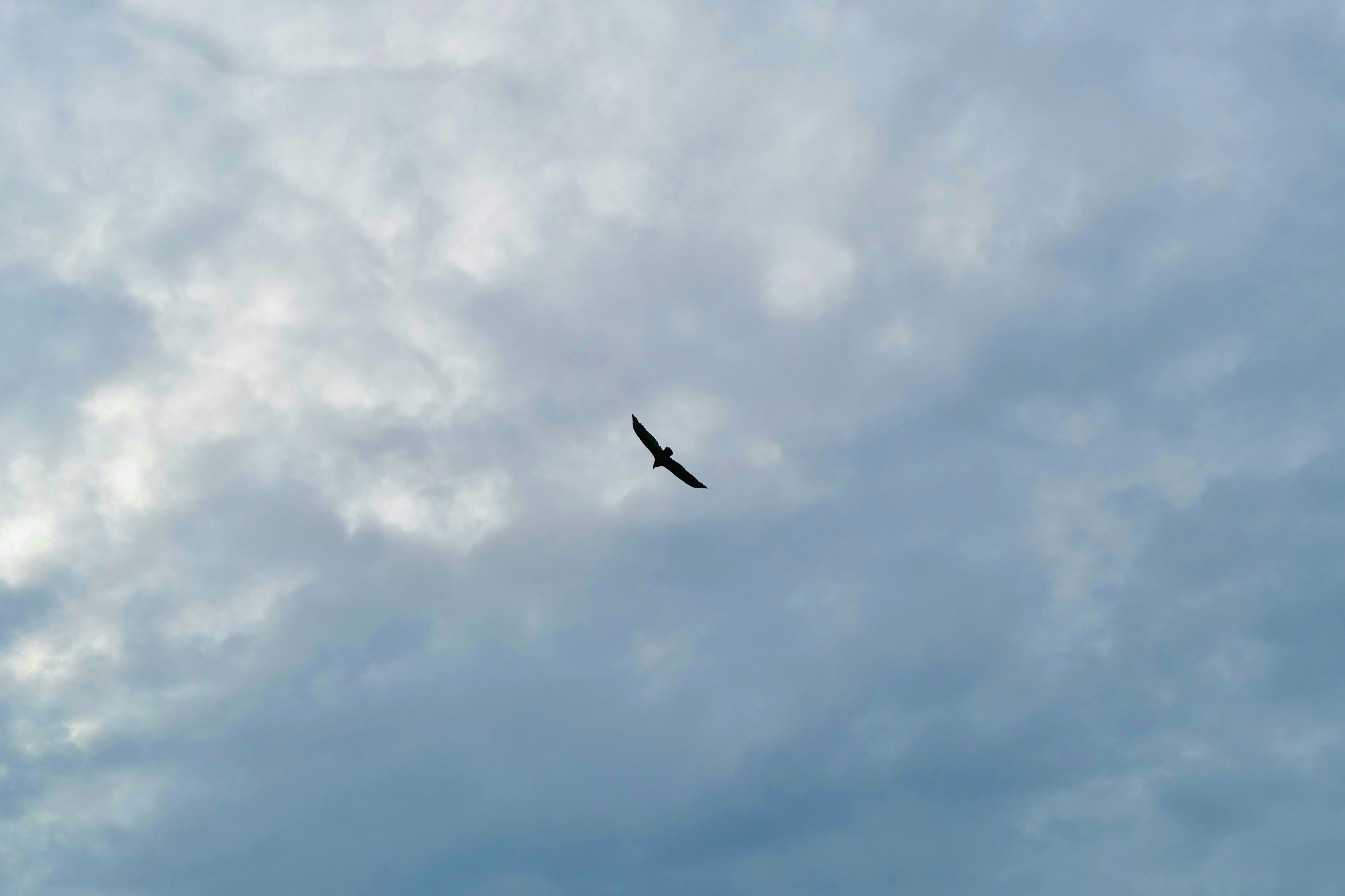 Photo by mostlycogent