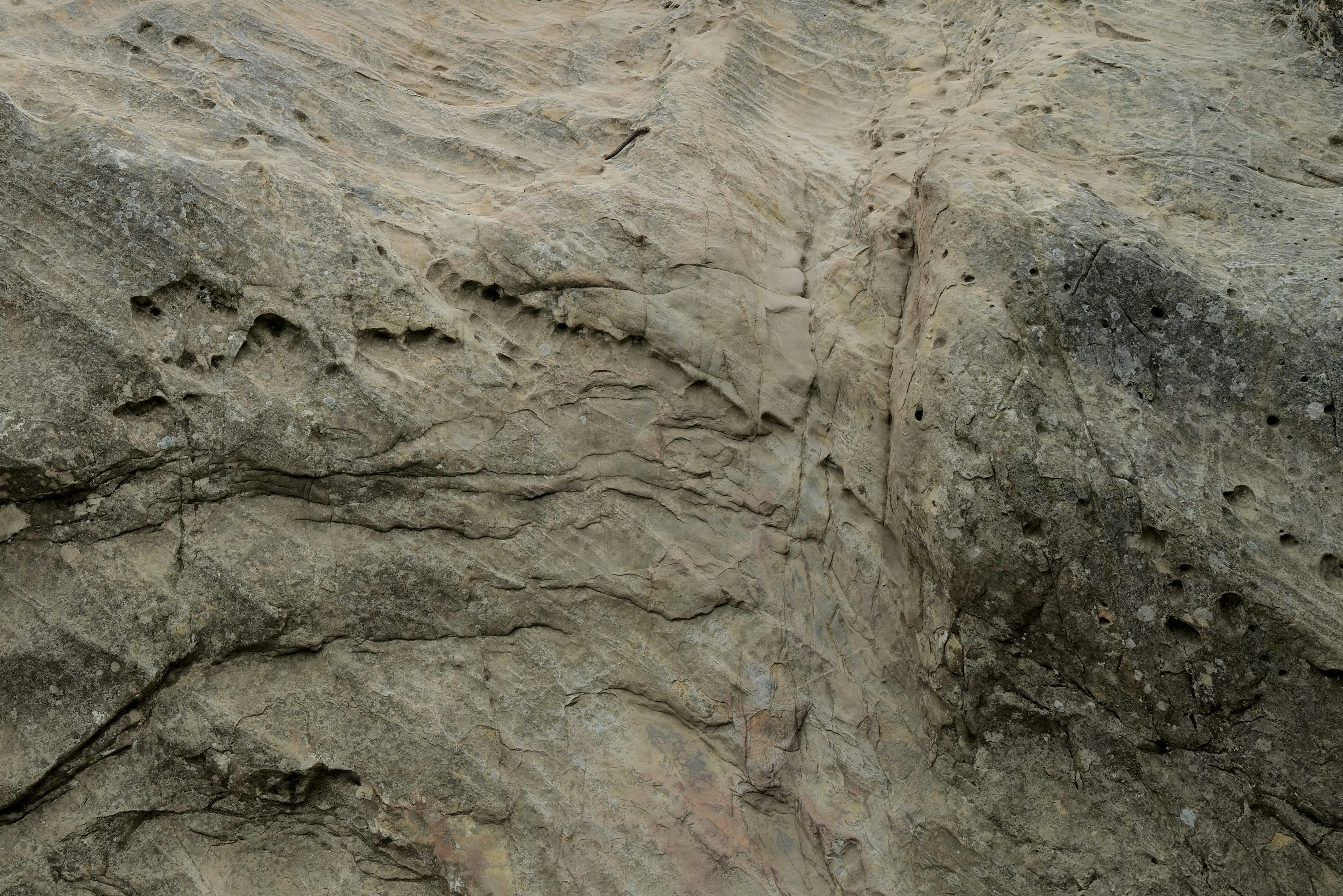 Photo by mostlycogent