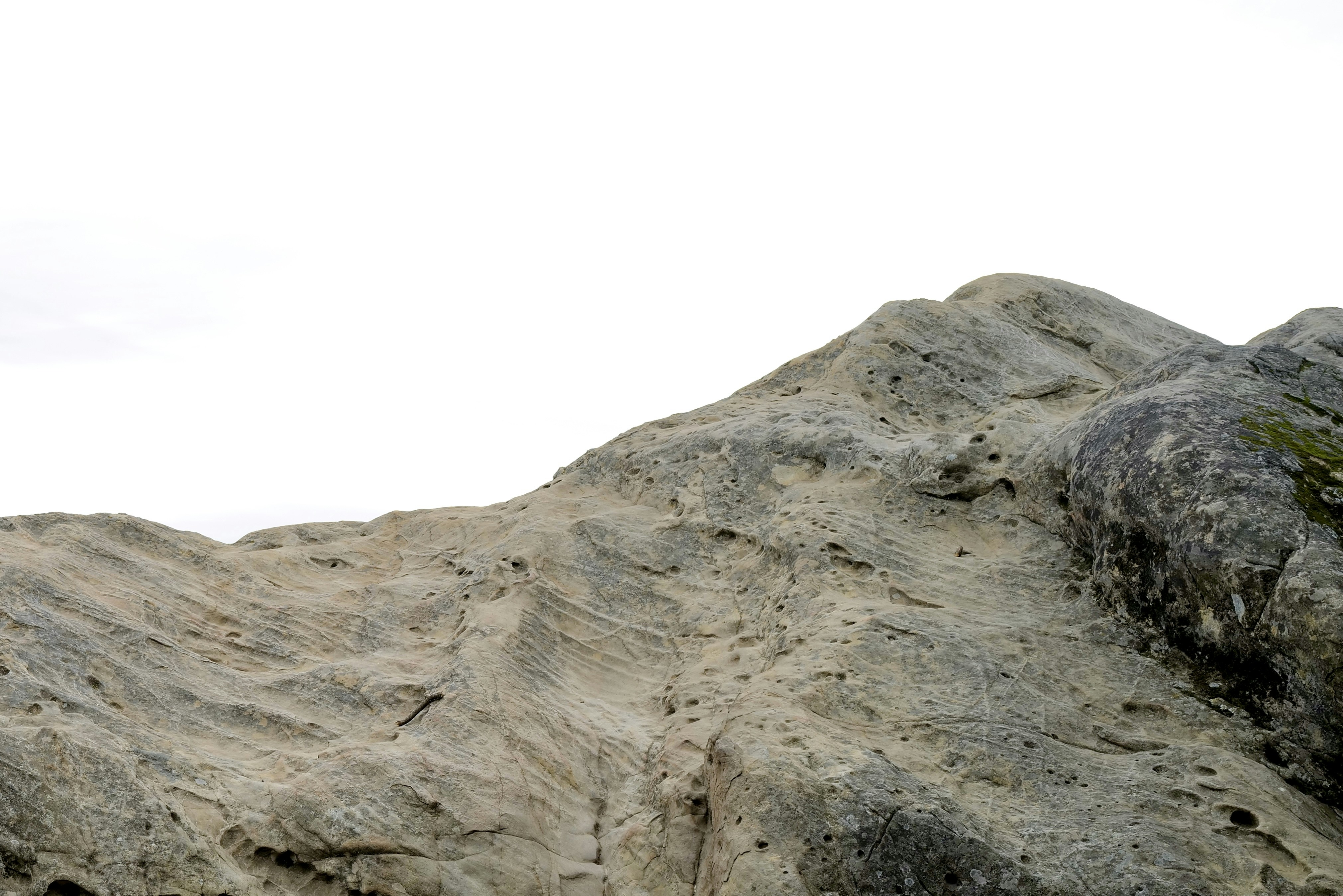 Photo by mostlycogent