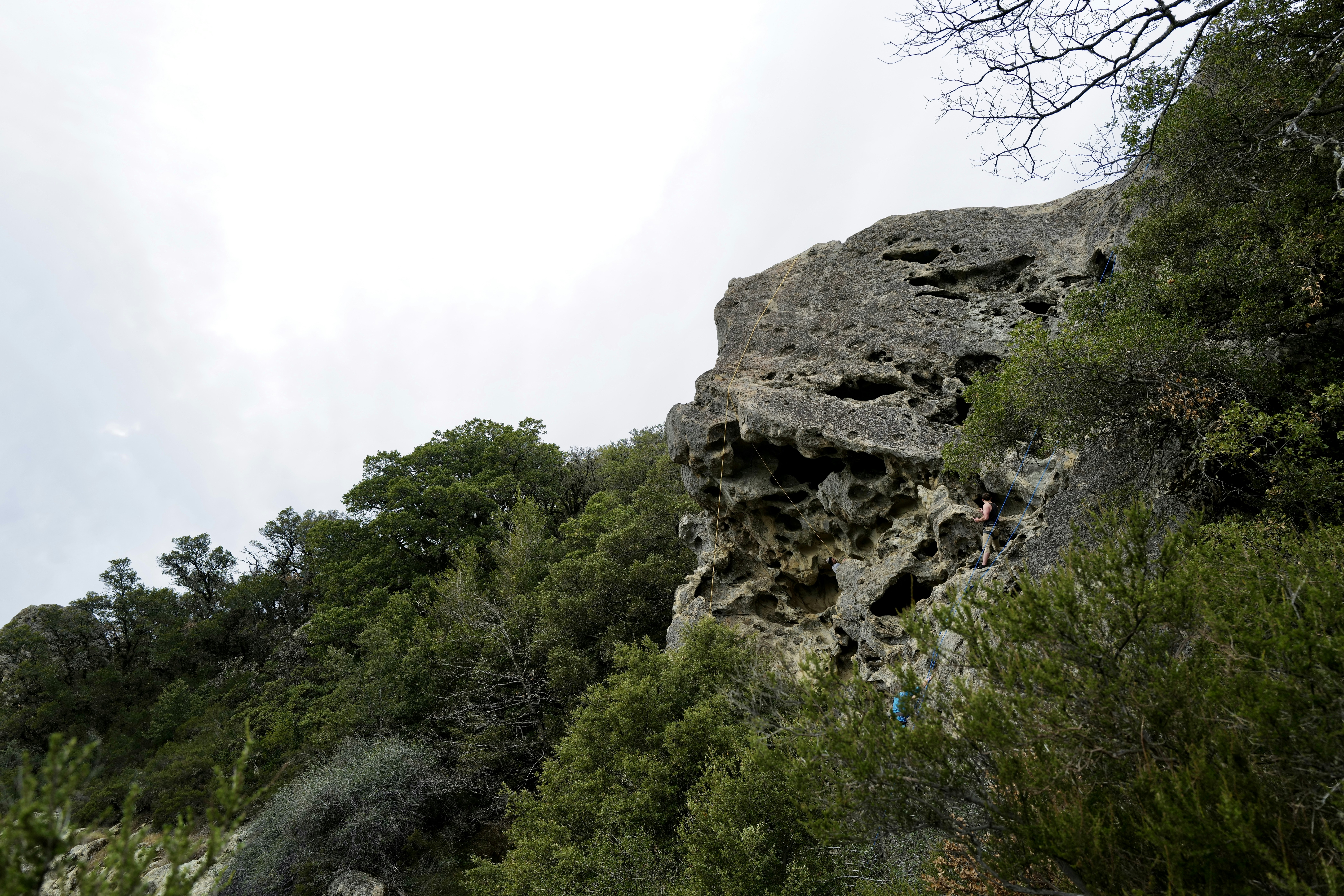 Photo by mostlycogent