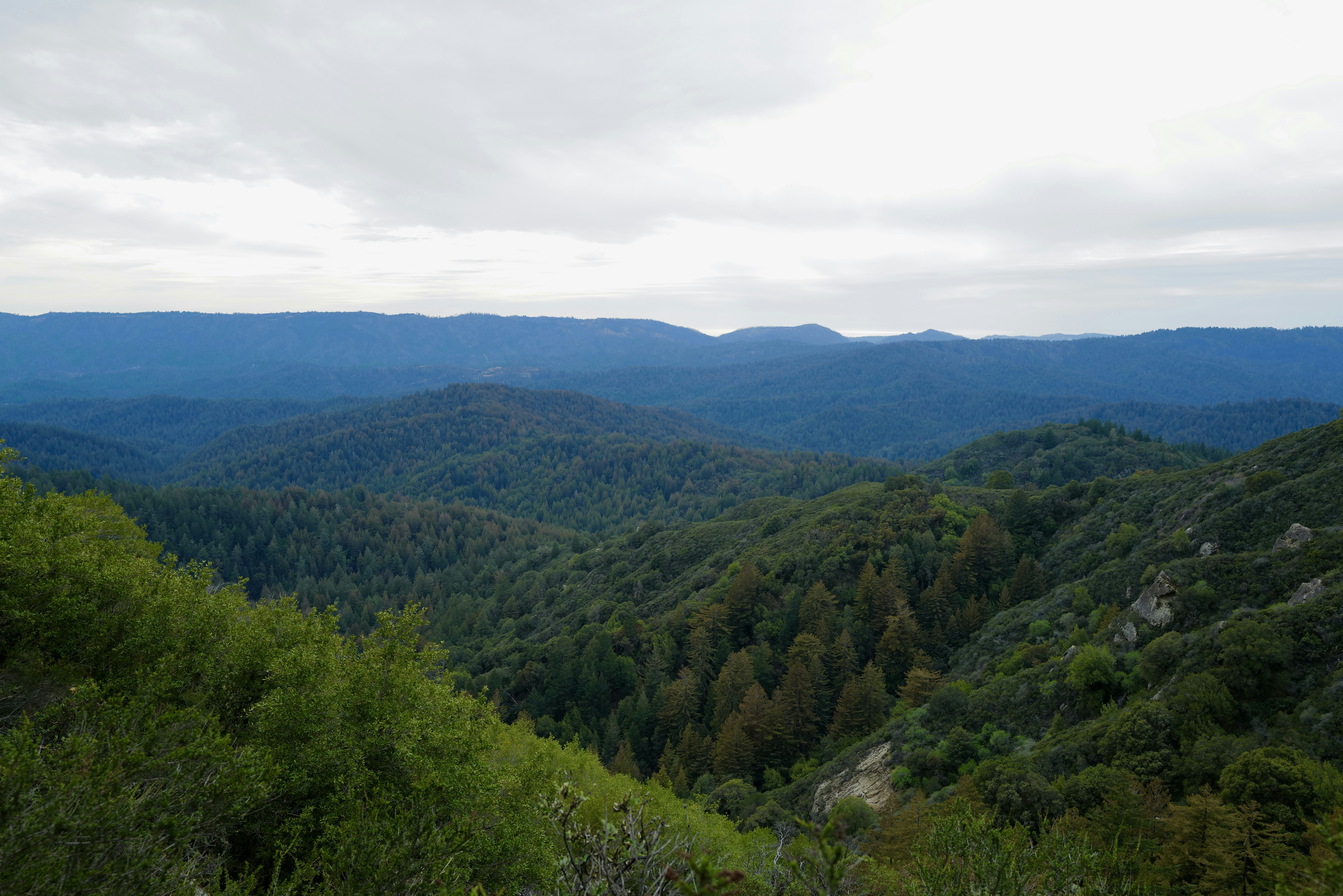 Photo by mostlycogent