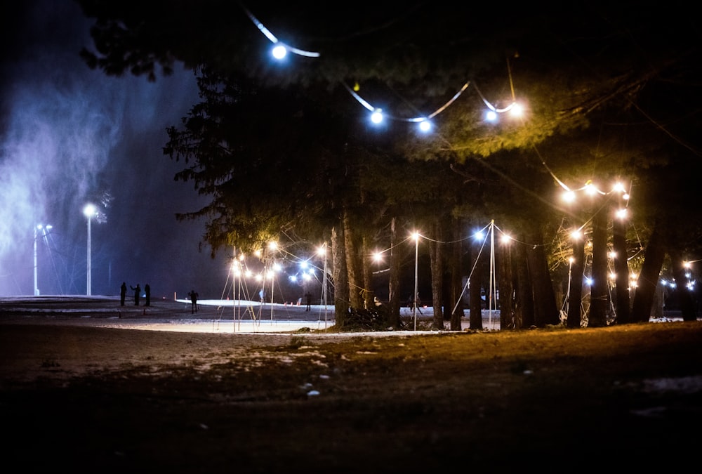 a group of people standing around a park at night
