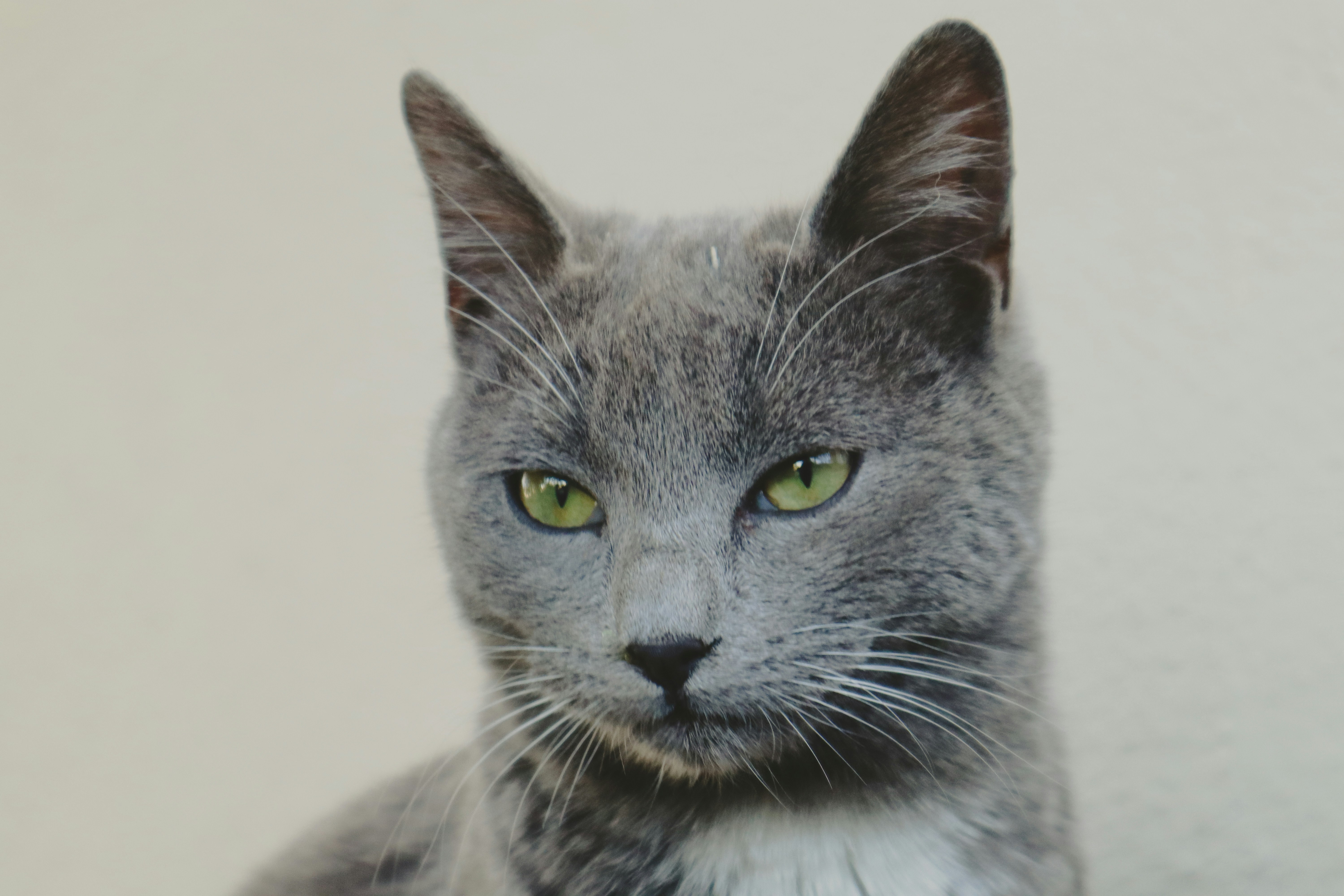 Photo by _allieastorga_