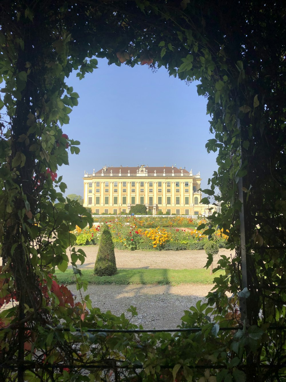 a view of a large building through a garden