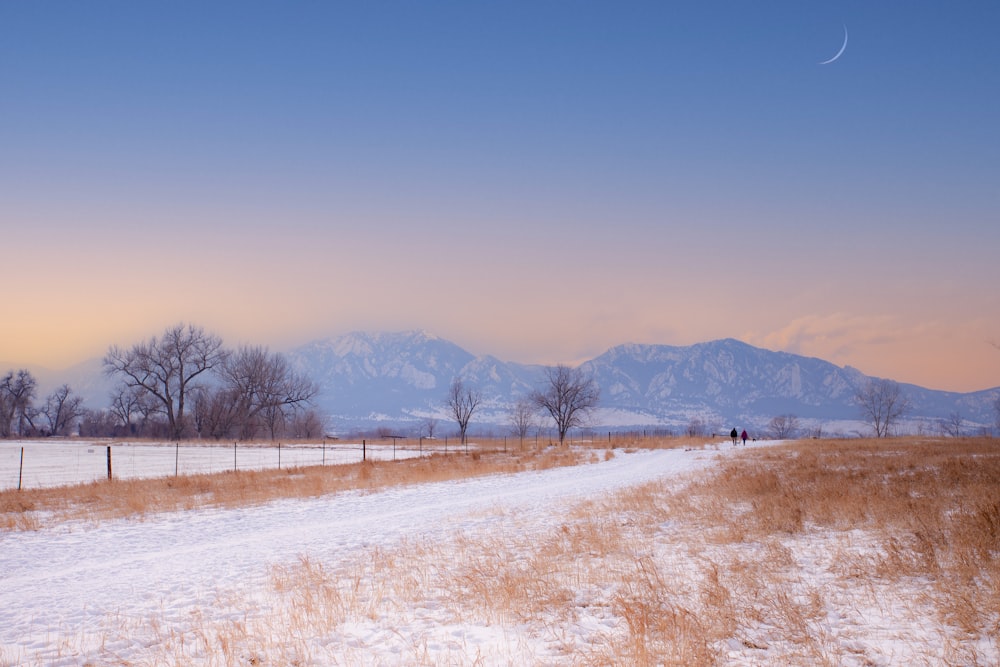 a snow covered field with mountains in the background